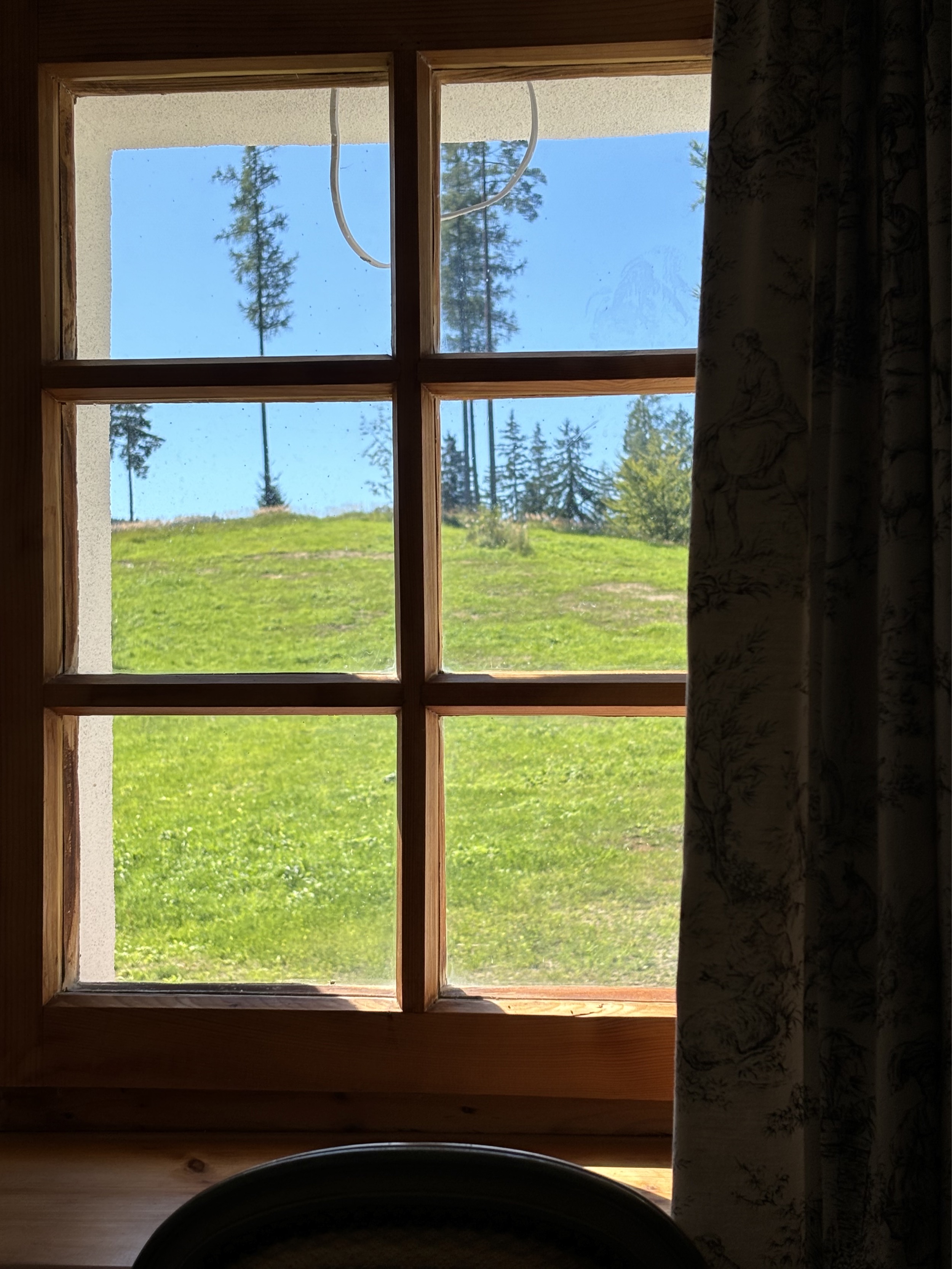 Alpines-Design-Chalet-Amerikaner-Hinterbreiteneben-ausblick-wald-im-sommer