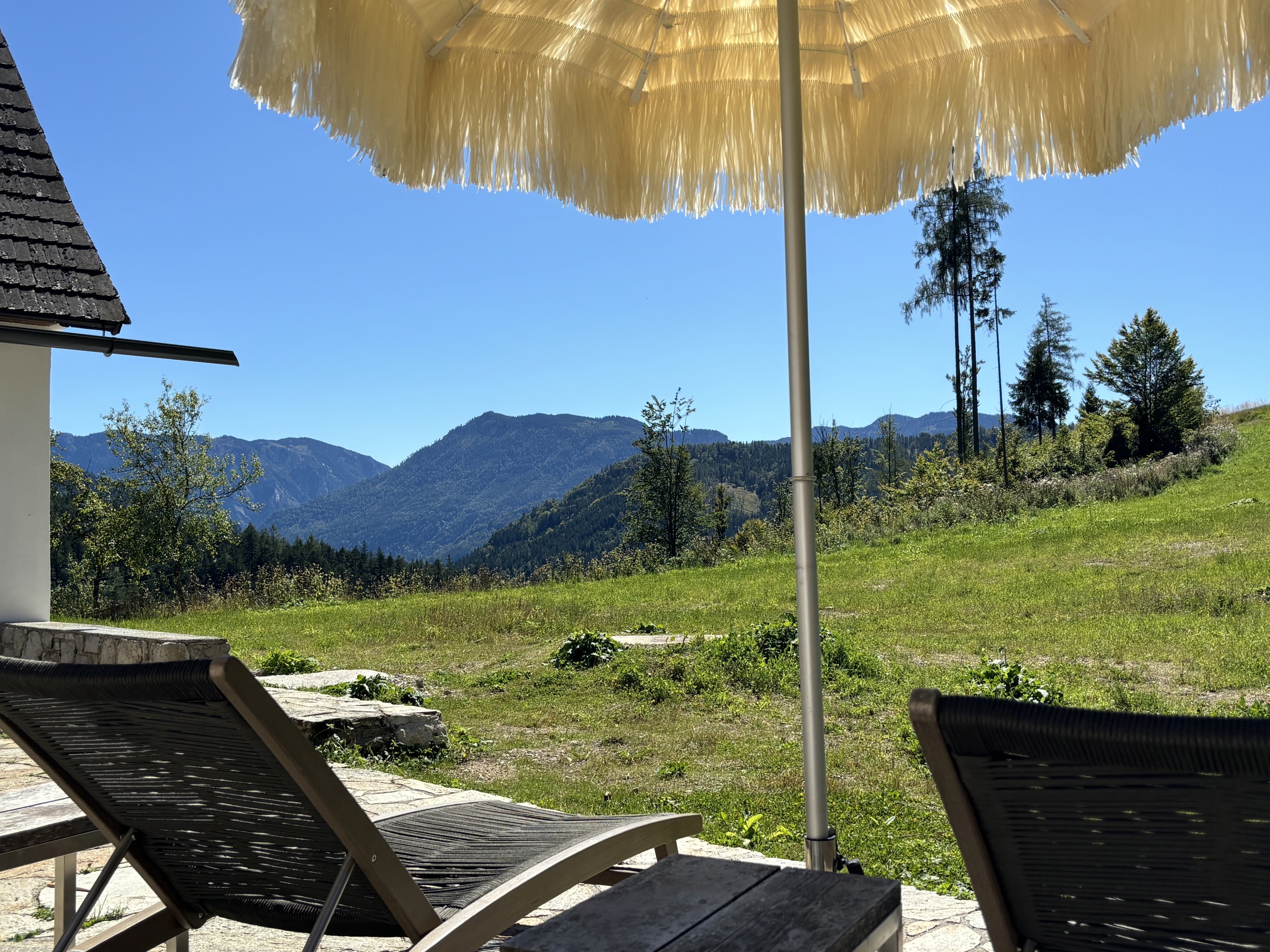 Alpines Design Chalet Amerikaner Hinterbreiteneben sommer aussenansicht 12