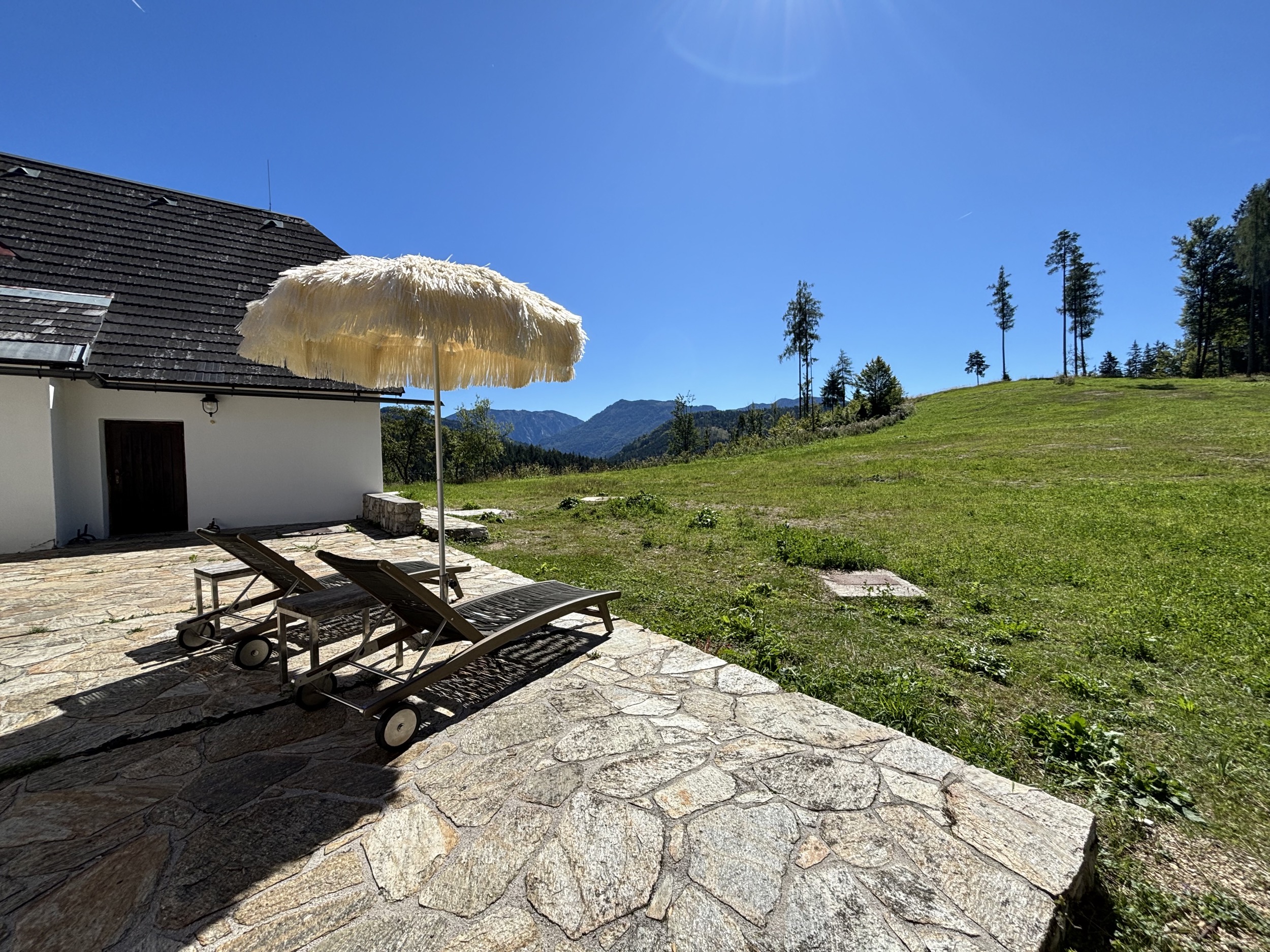 Alpines Design Chalet Amerikaner Hinterbreiteneben sommer aussenansicht 14