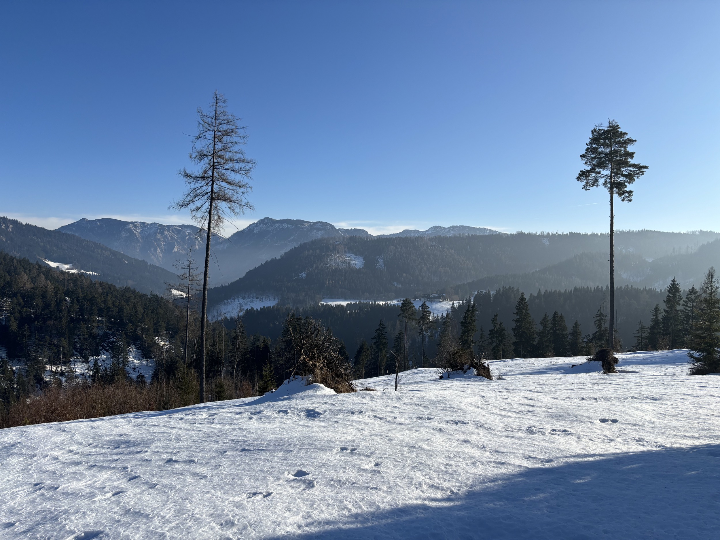 Alpines Design Chalet Amerikaner Hinterbreiteneben winter aussenansicht 14