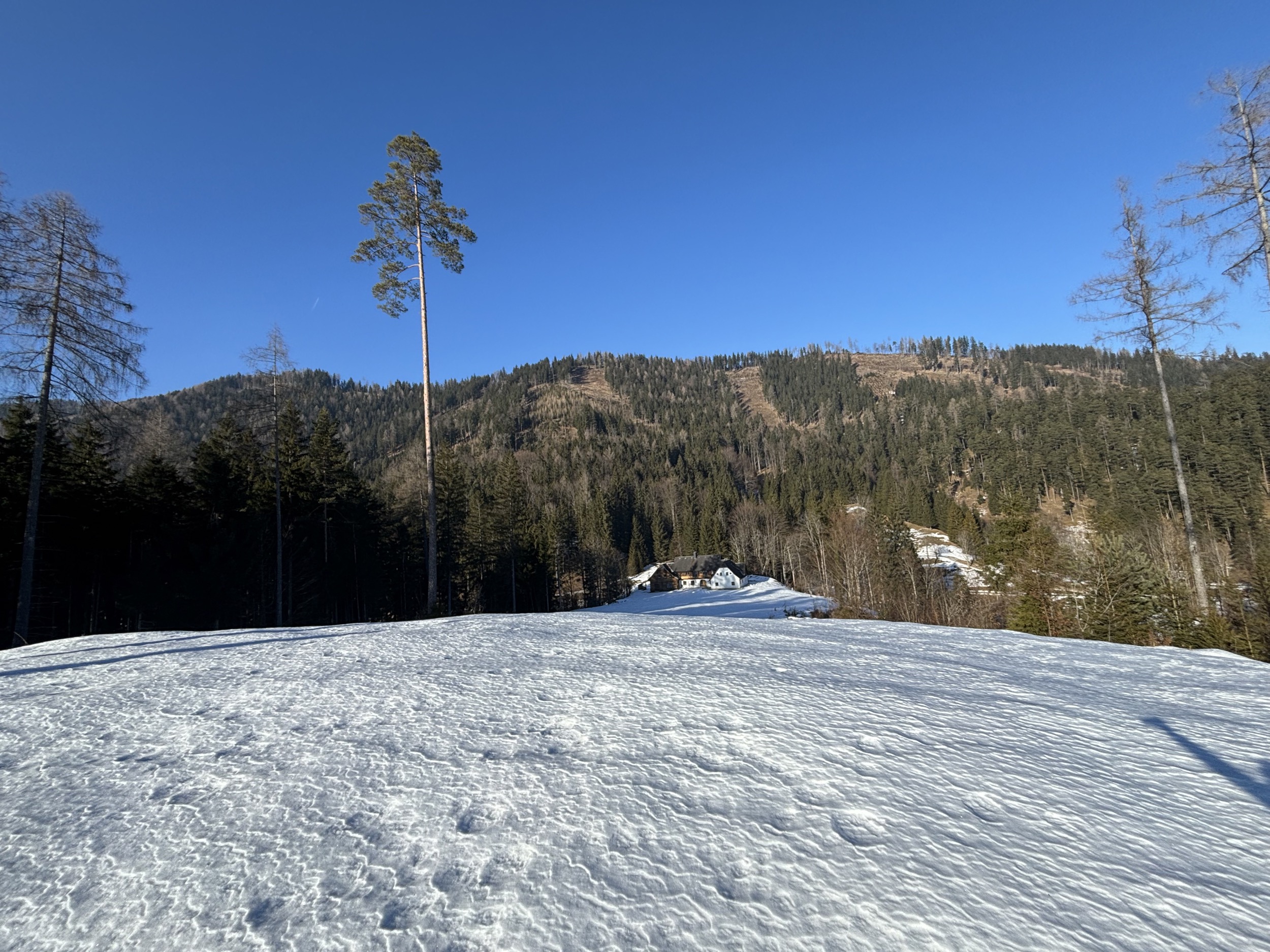 Alpines Design Chalet Amerikaner Hinterbreiteneben winter aussenansicht 15