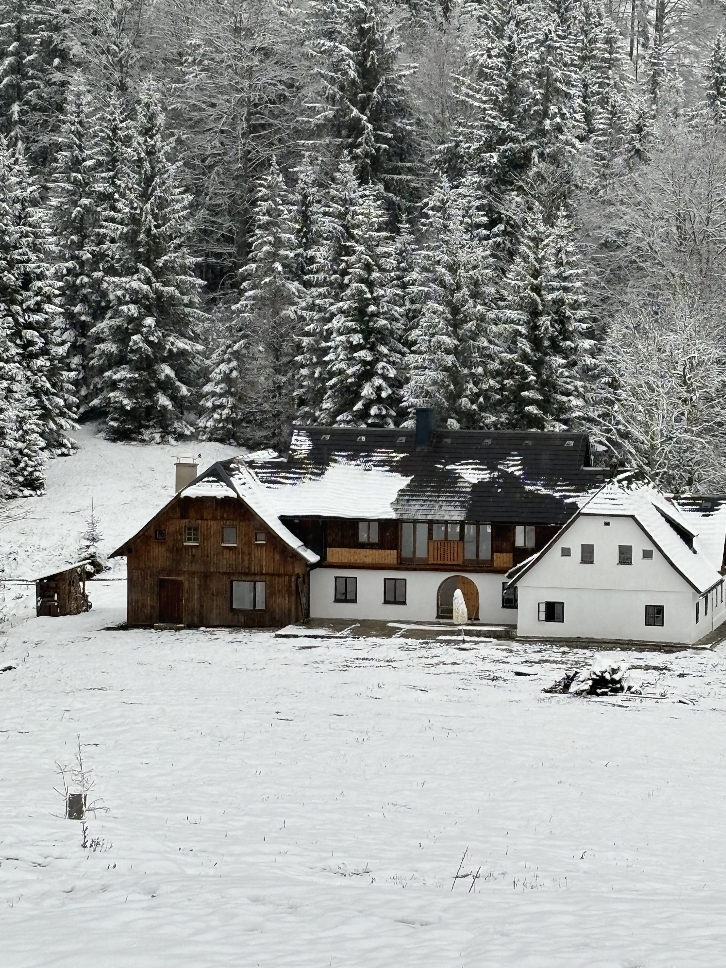 Alpines-Design-Chalet-Amerikaner-Hinterbreiteneben-winter-aussenansicht-3