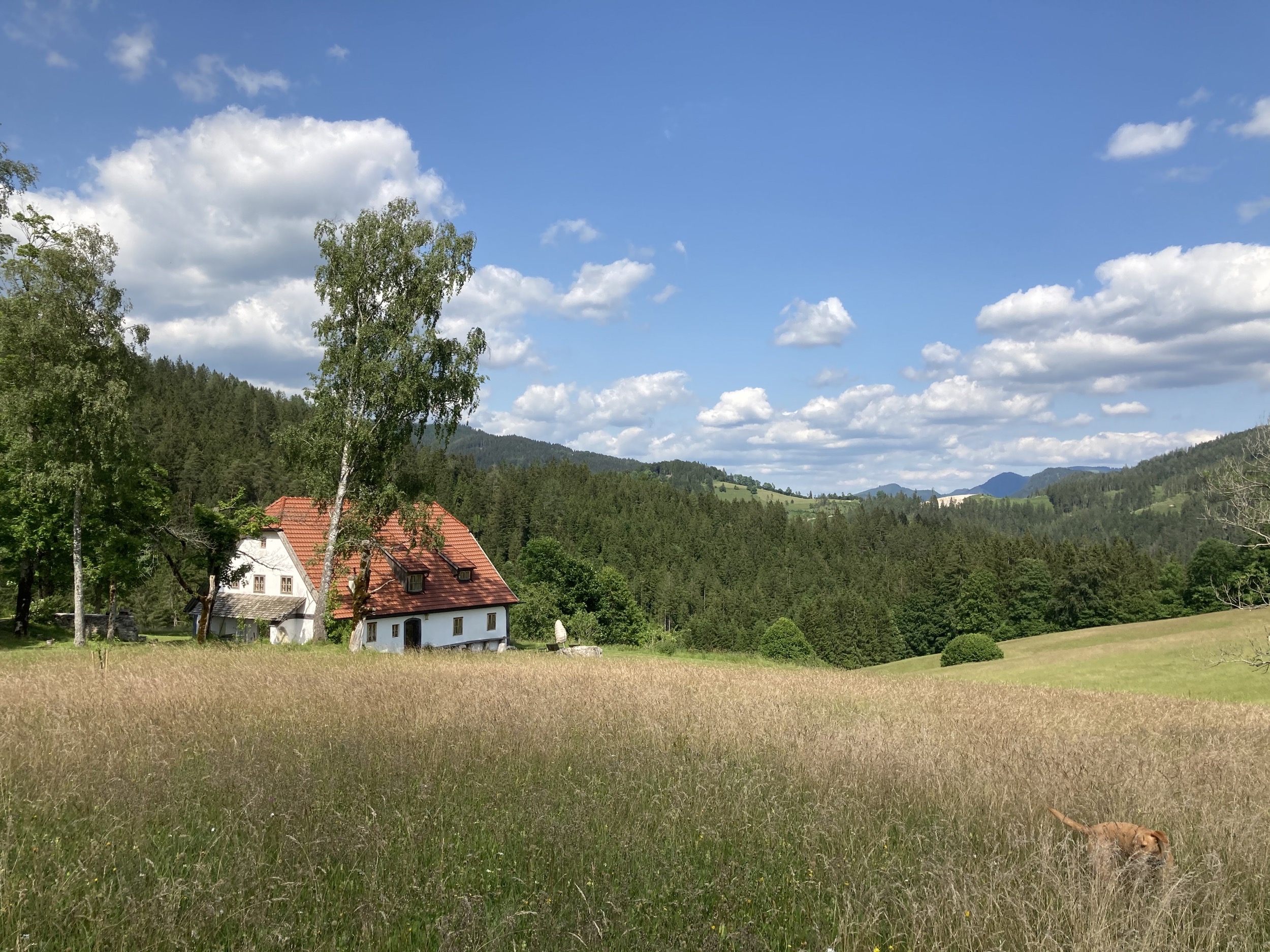 Hinterbreiteneben Hausansicht Sommer