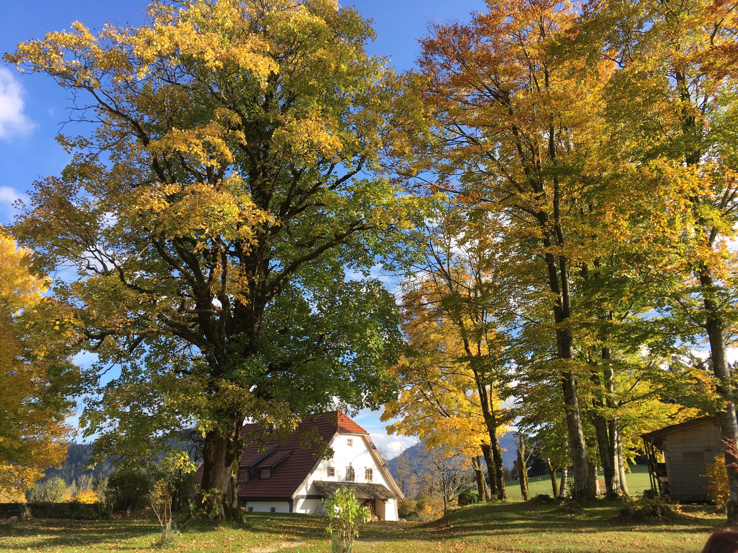Hinterbreiteneben Herbstblick c Johannes Hoyos