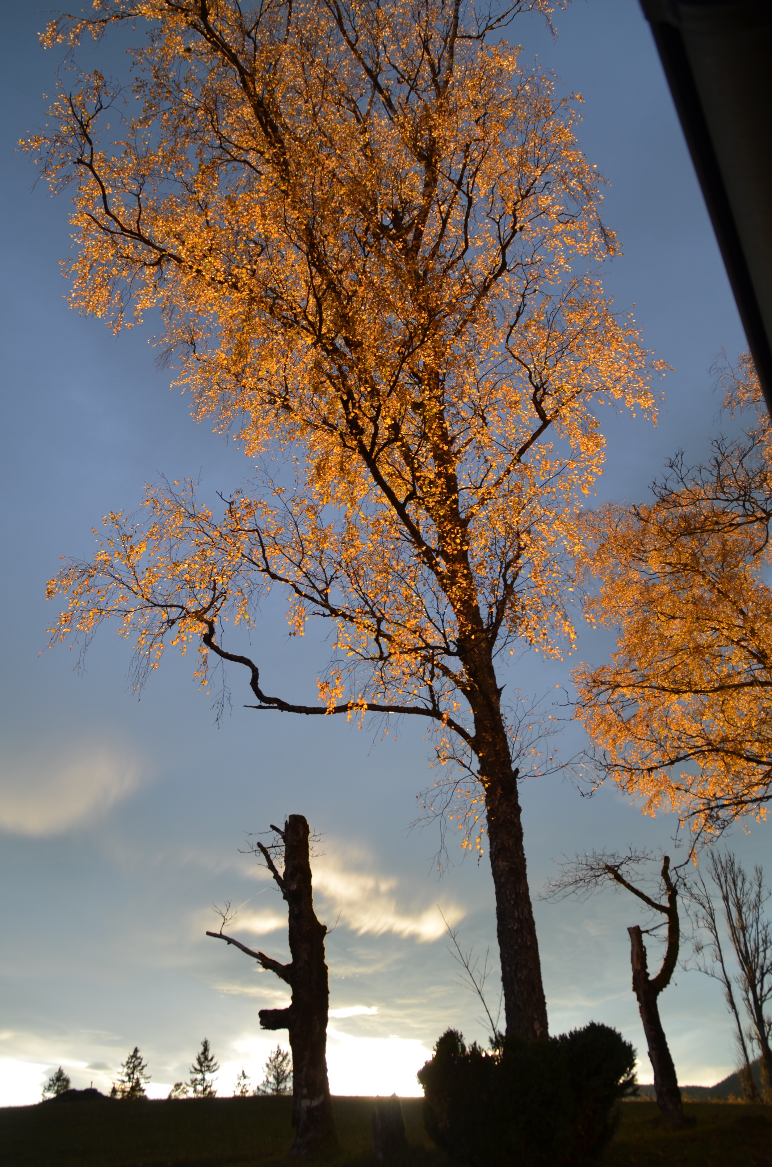 Hinterbreiteneben-Herbststimmung-c-J-Hoyos
