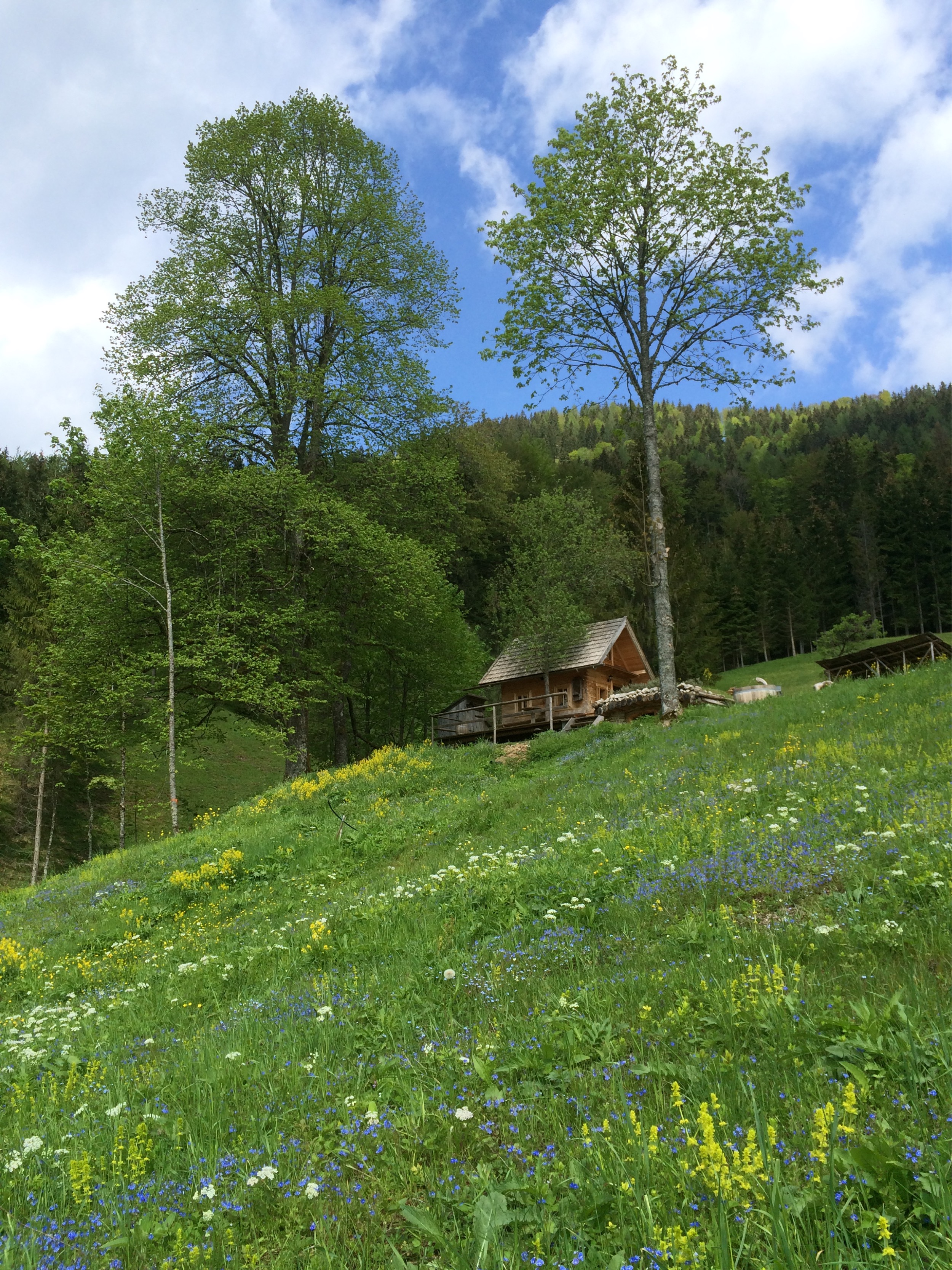 Hinterbreiteneben-Holzknechthuette-Hochsommer-12