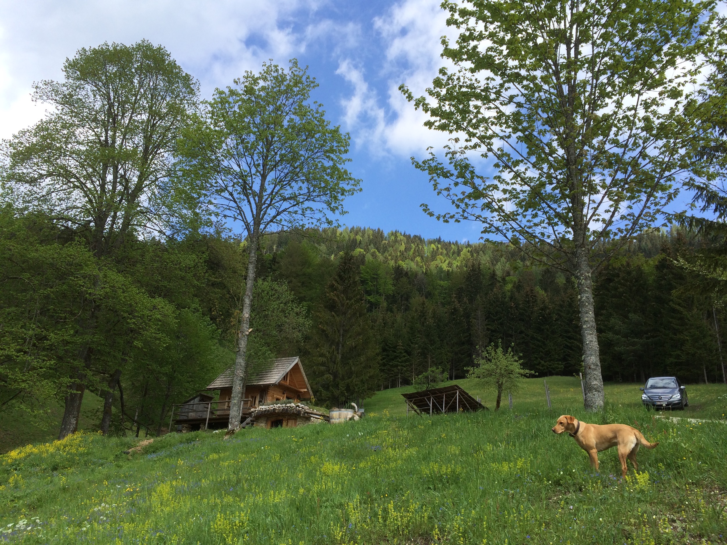 Hinterbreiteneben Holzknechthuette Hochsommer 13