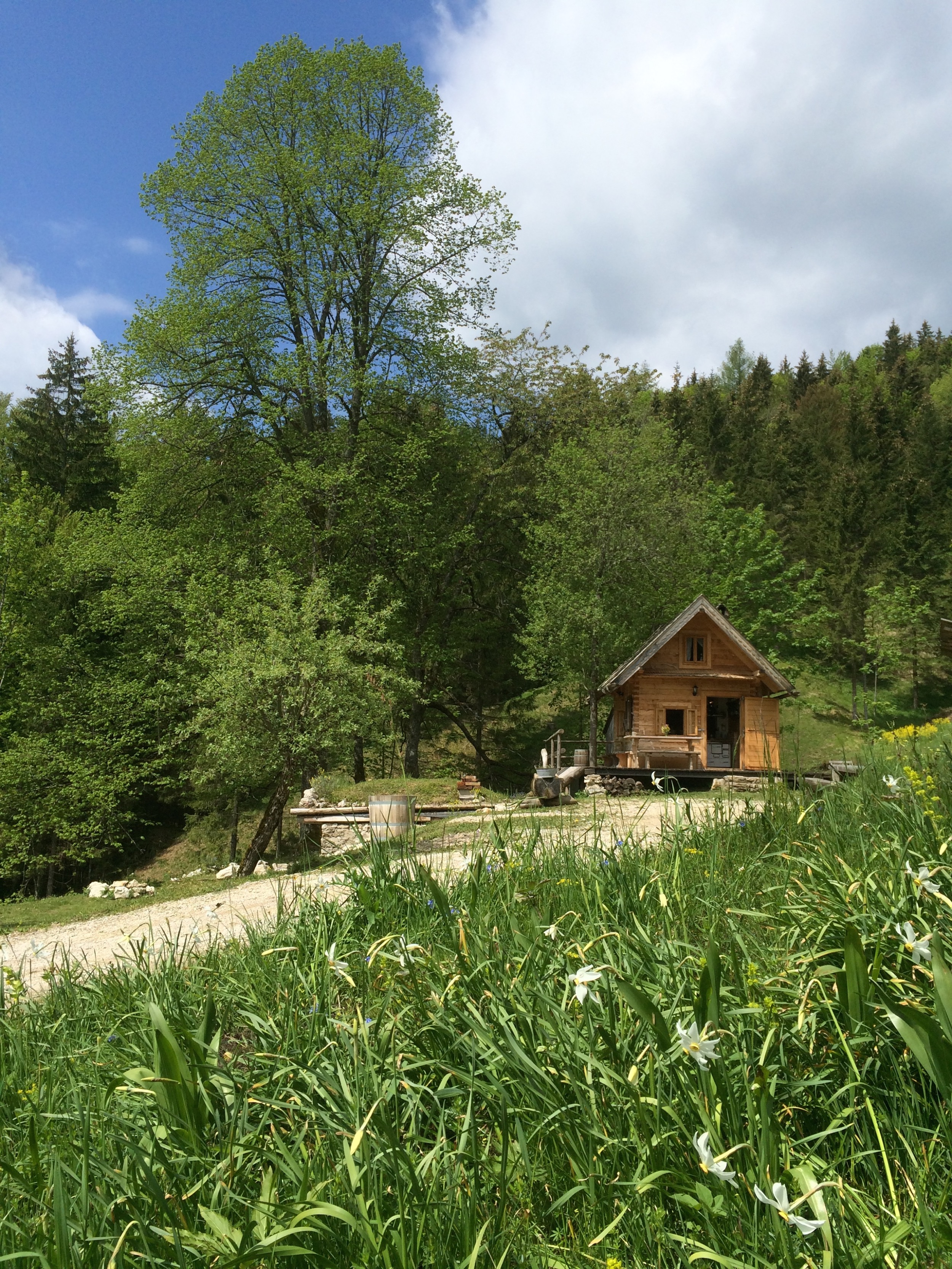 Hinterbreiteneben-Holzknechthuette-Hochsommer-14