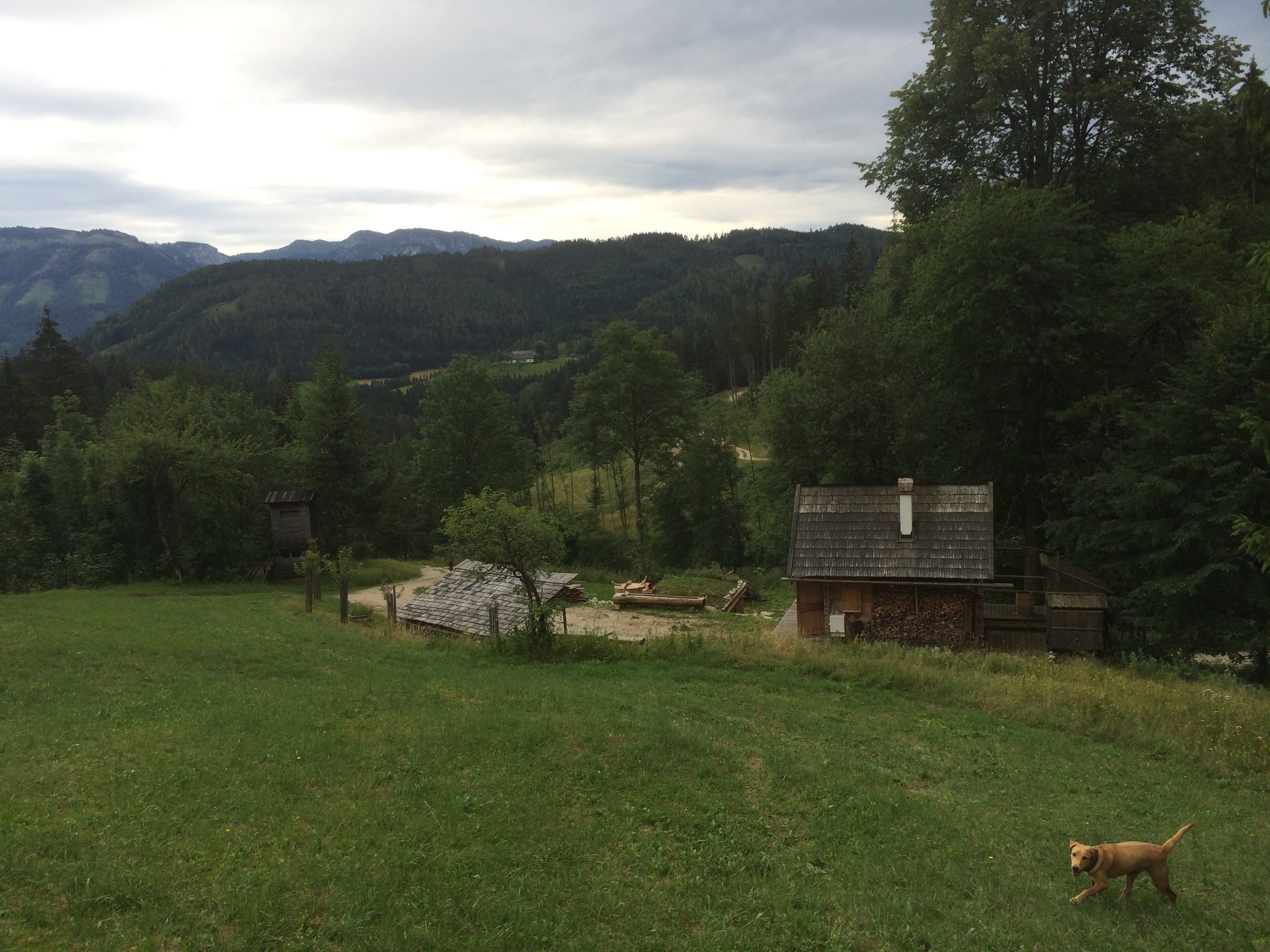 Hinterbreiteneben Holzknechthuette Hochsommer 2