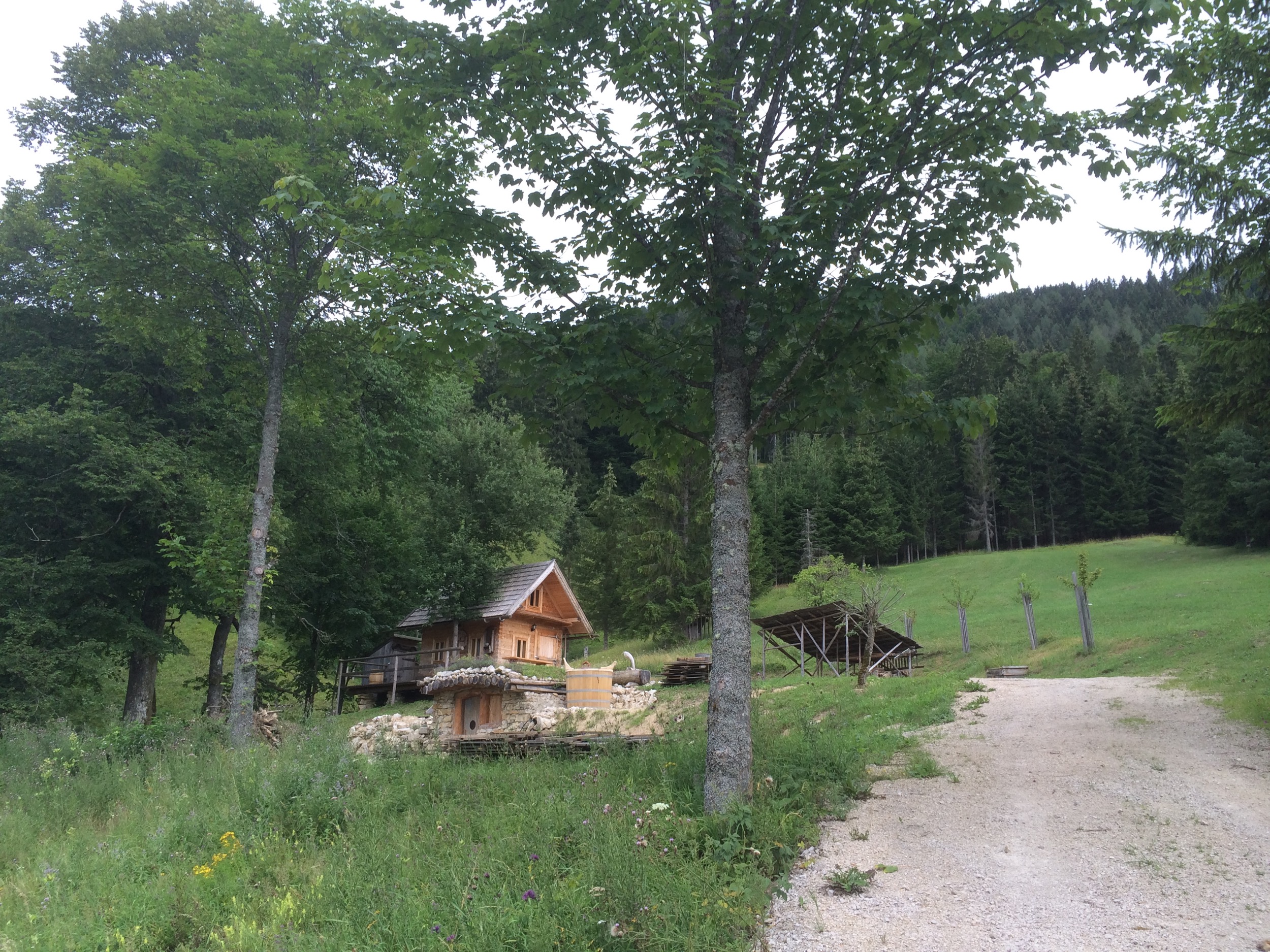 Hinterbreiteneben Holzknechthuette Hochsommer 5