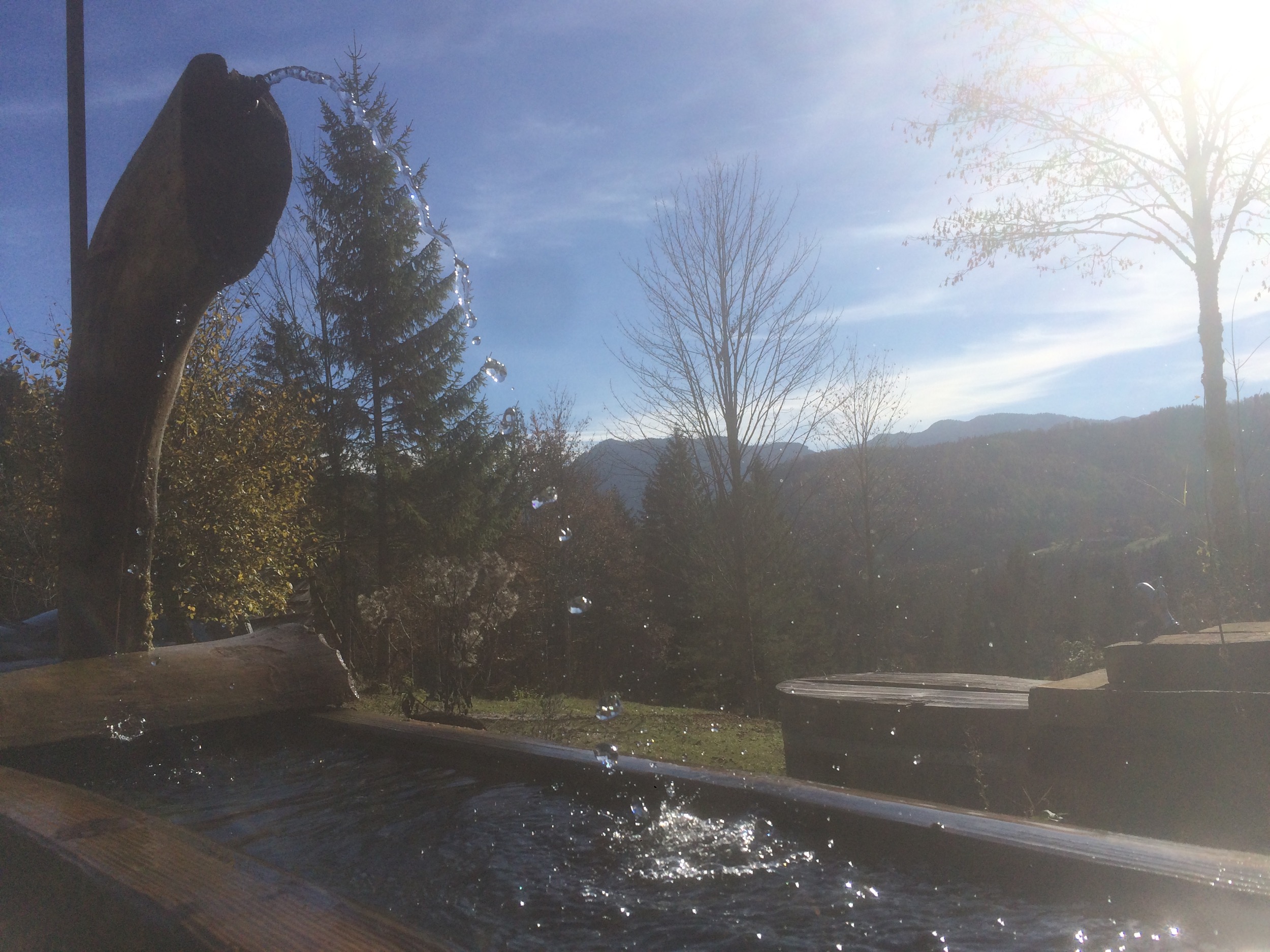 Hinterbreiteneben Holzknechthuette Hochsommer Hund Brunnen 2