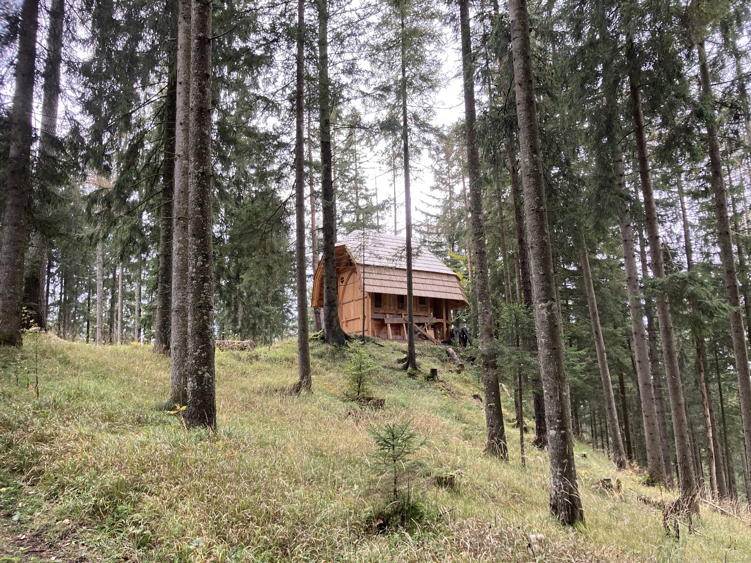 Hinterbreiteneben Kapelle im Wald Lunz am See 1
