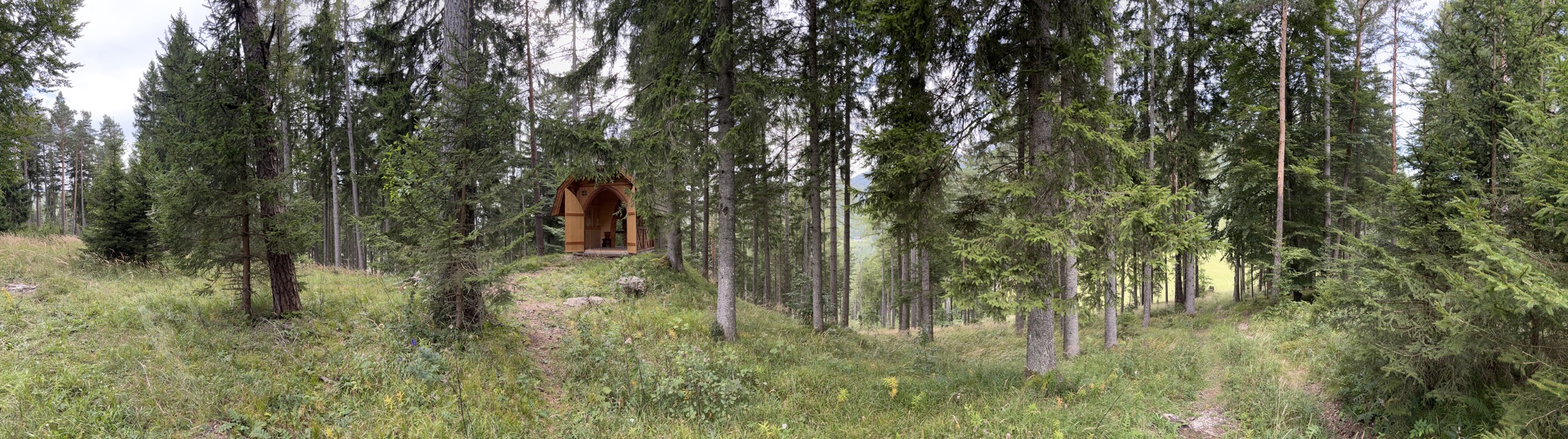 Hinterbreiteneben Kapelle im Wald Lunz am See 13