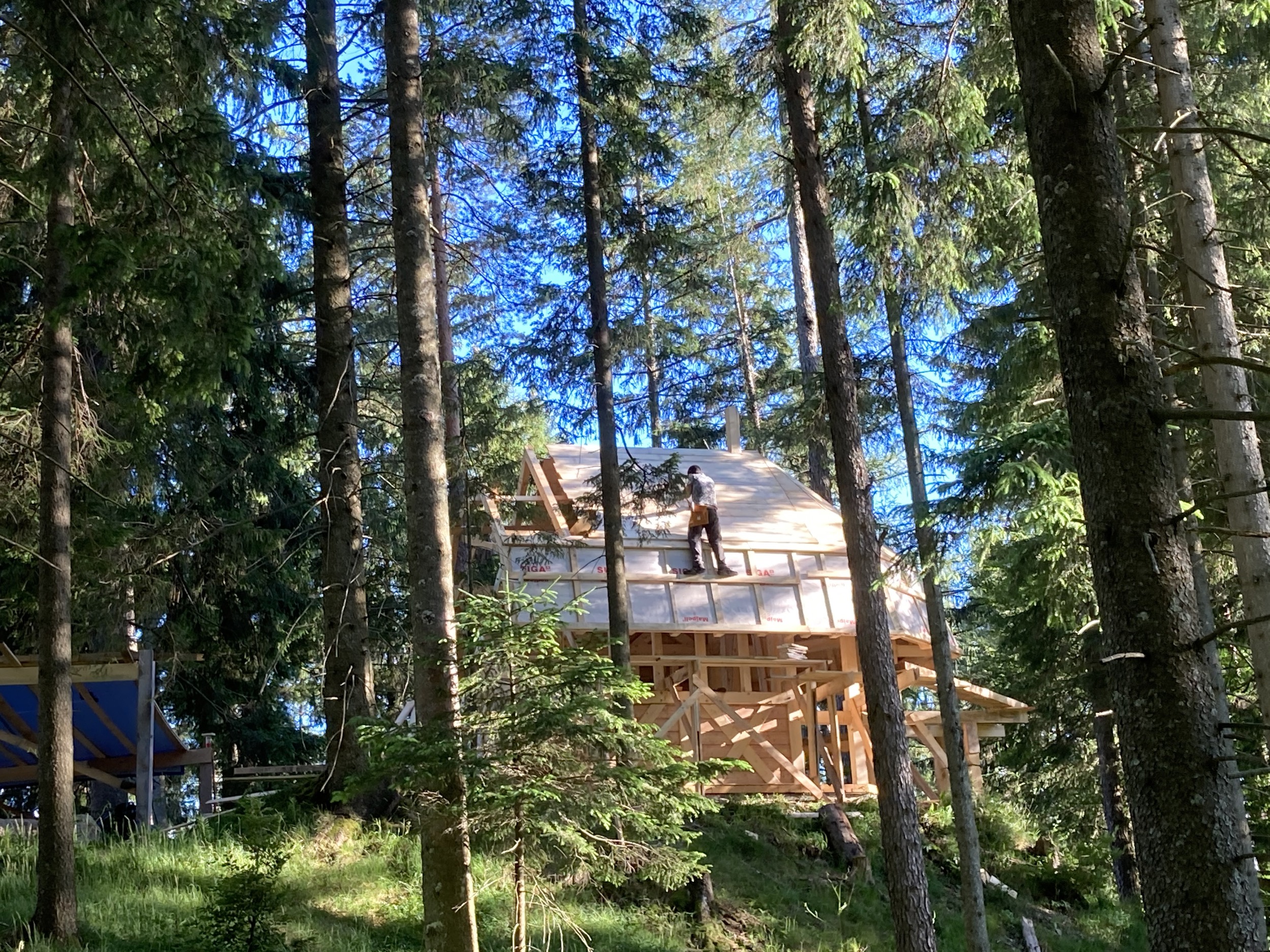 Hinterbreiteneben Kapelle im Wald Lunz am See 27