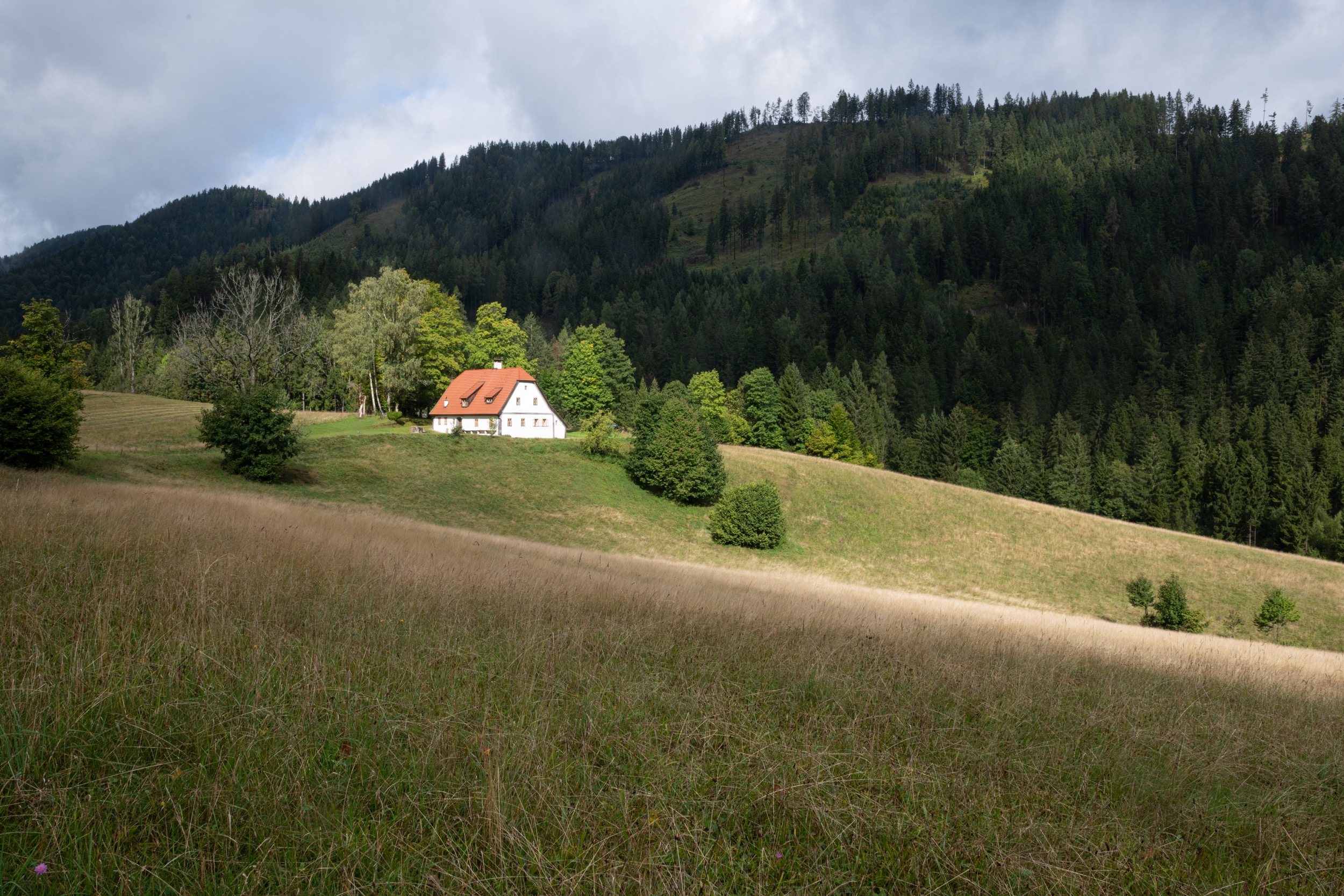 Hinterbreiteneben Panorama Sommer c J Hoyos