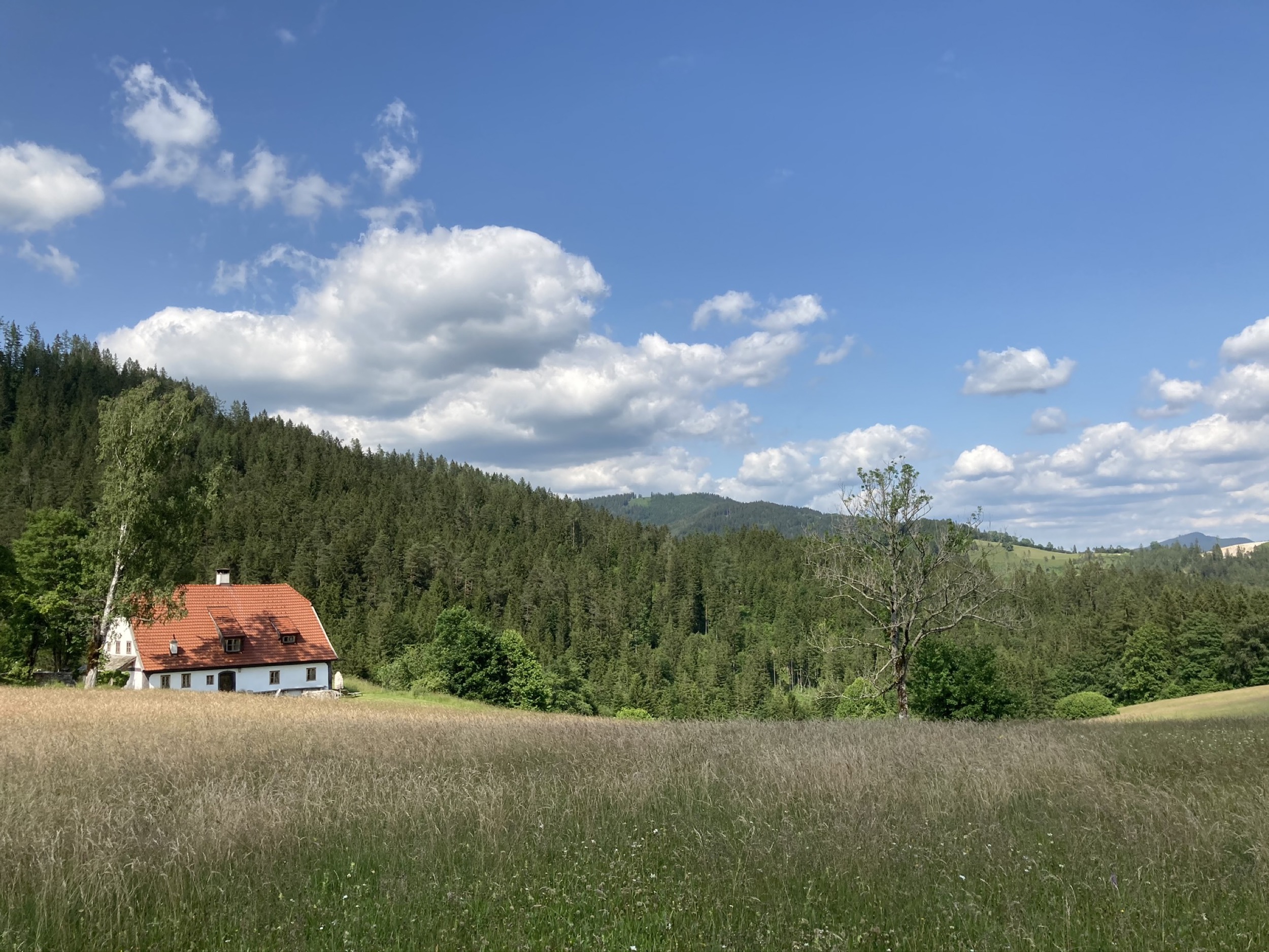 Hinterbreiteneben Sommer