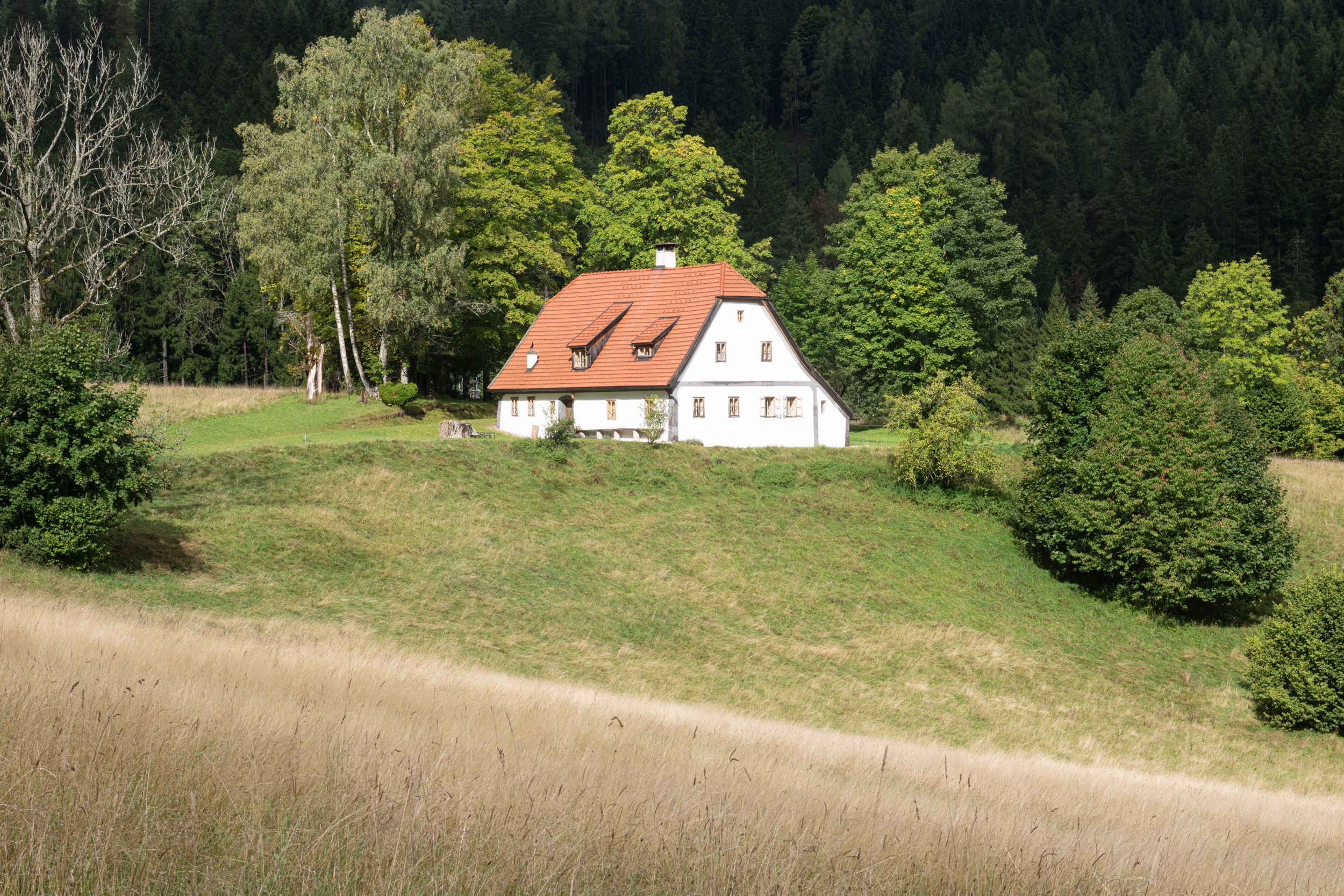 Hinterbreiteneben SommerPanorama c J Hoyos