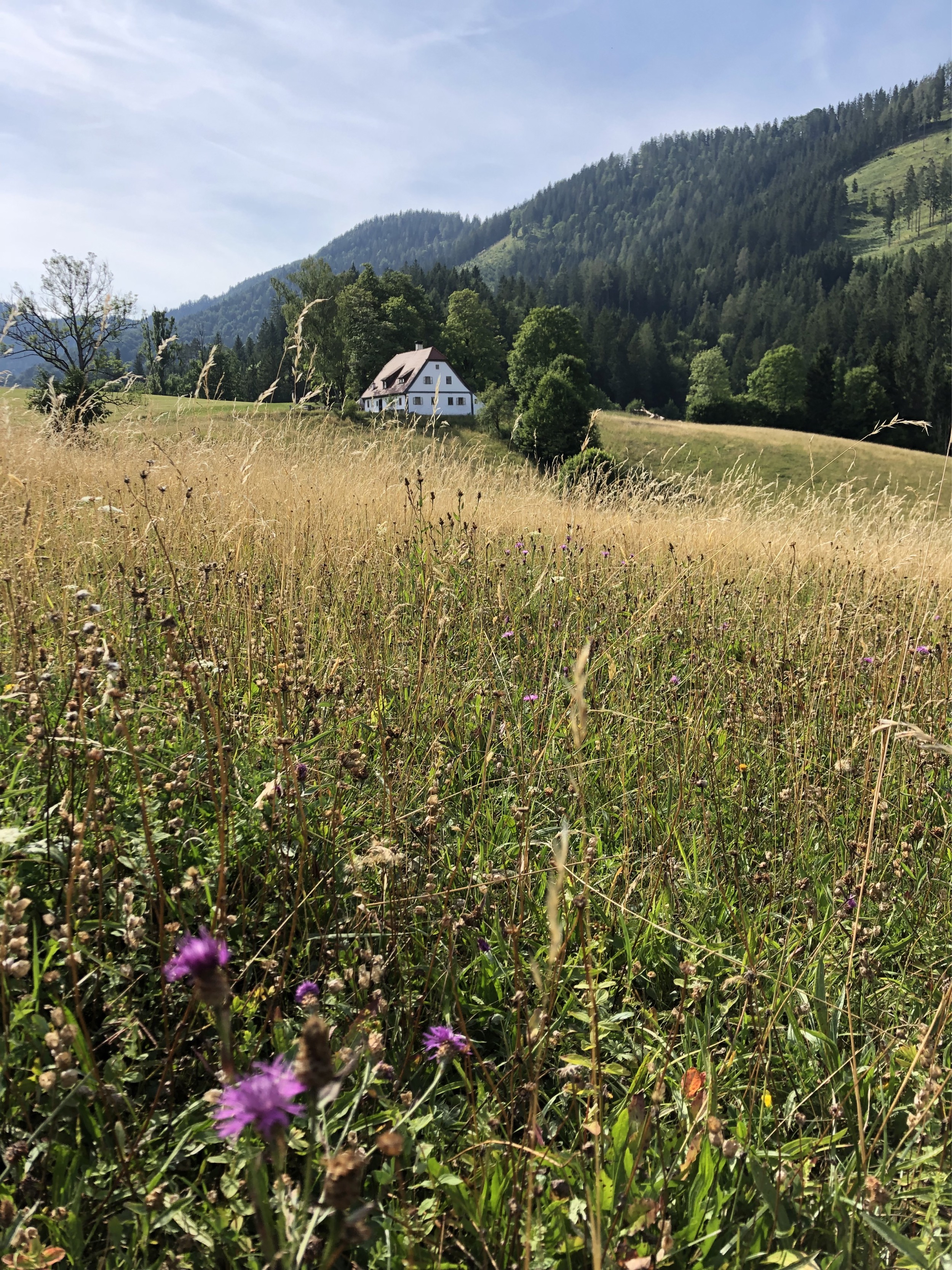 Hinterbreiteneben-Stimmungsbildansicht-JohannesHoyos