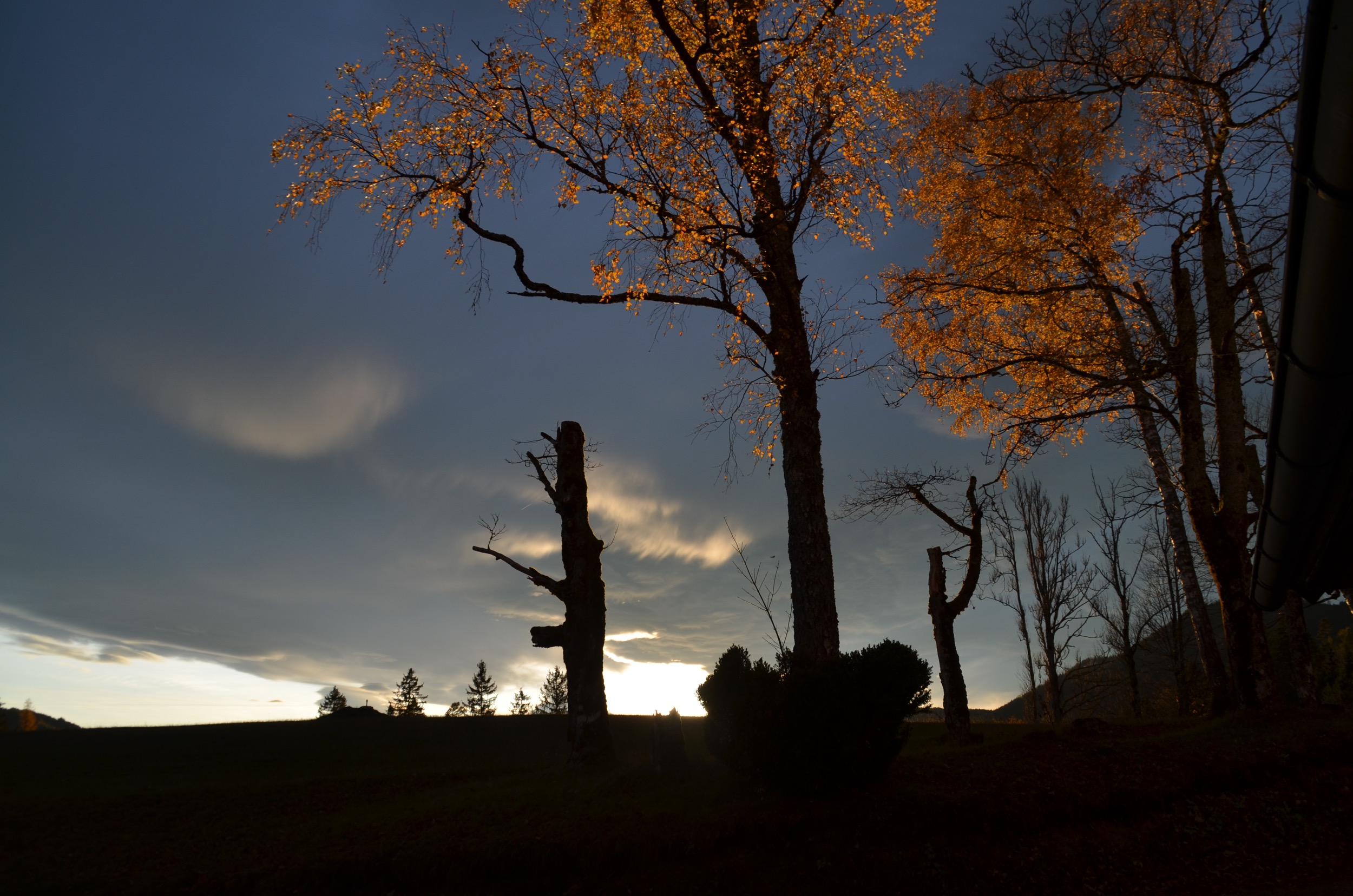 Hinterbreiteneben herbst c J Hoyos