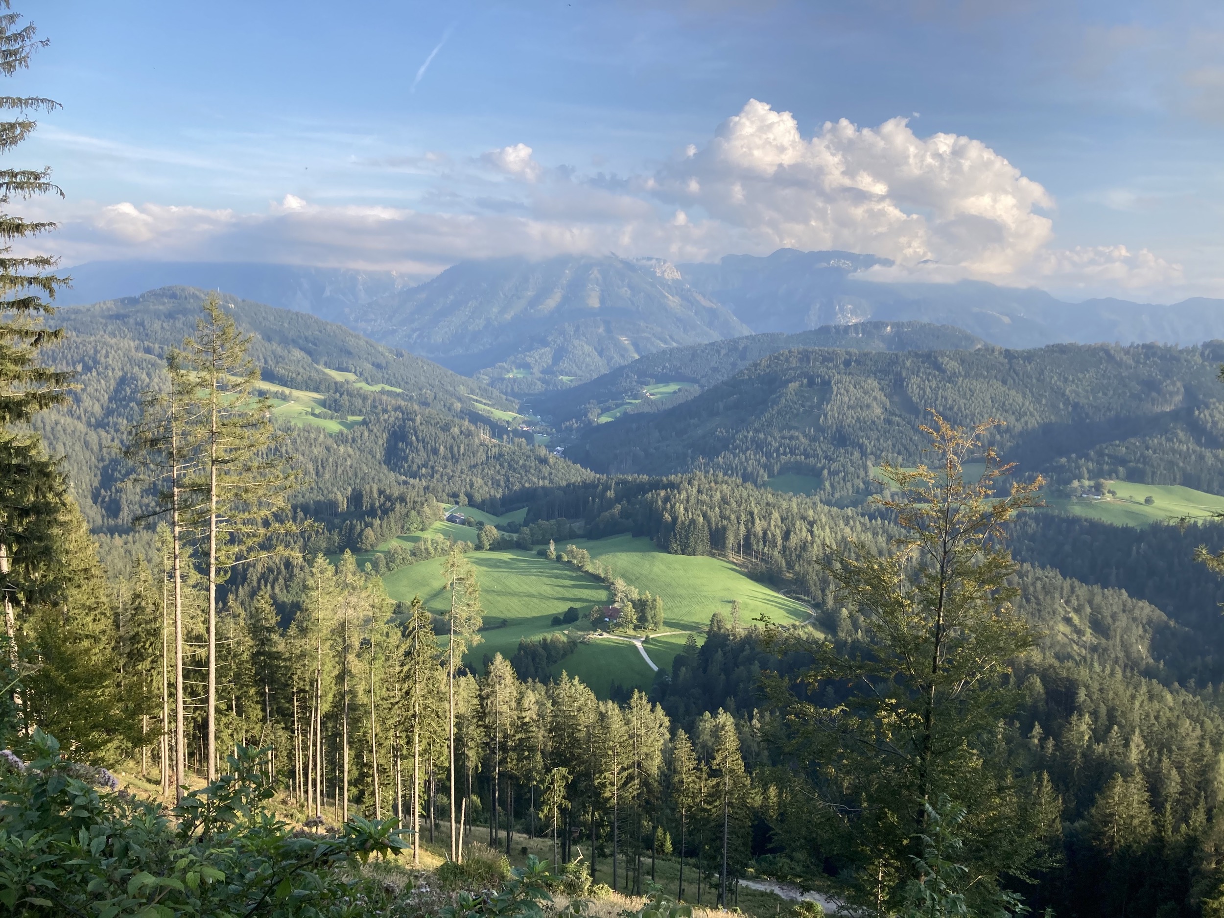 Hinterbreiteneben von Oben