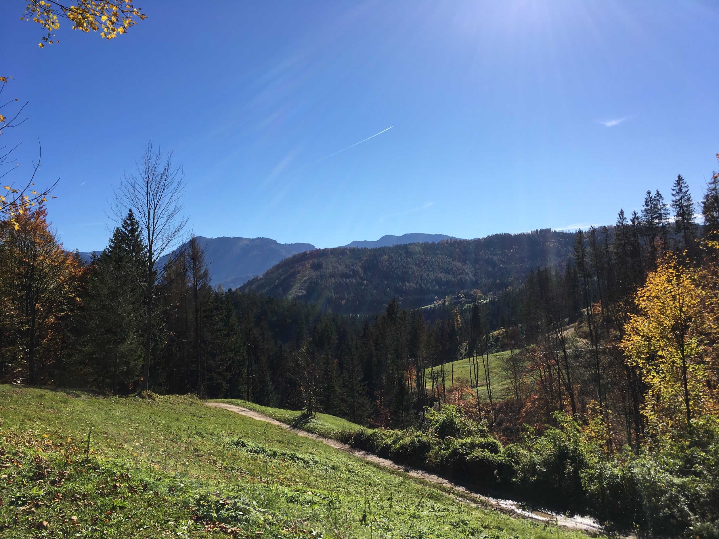 Holzknechthuette Bergblick