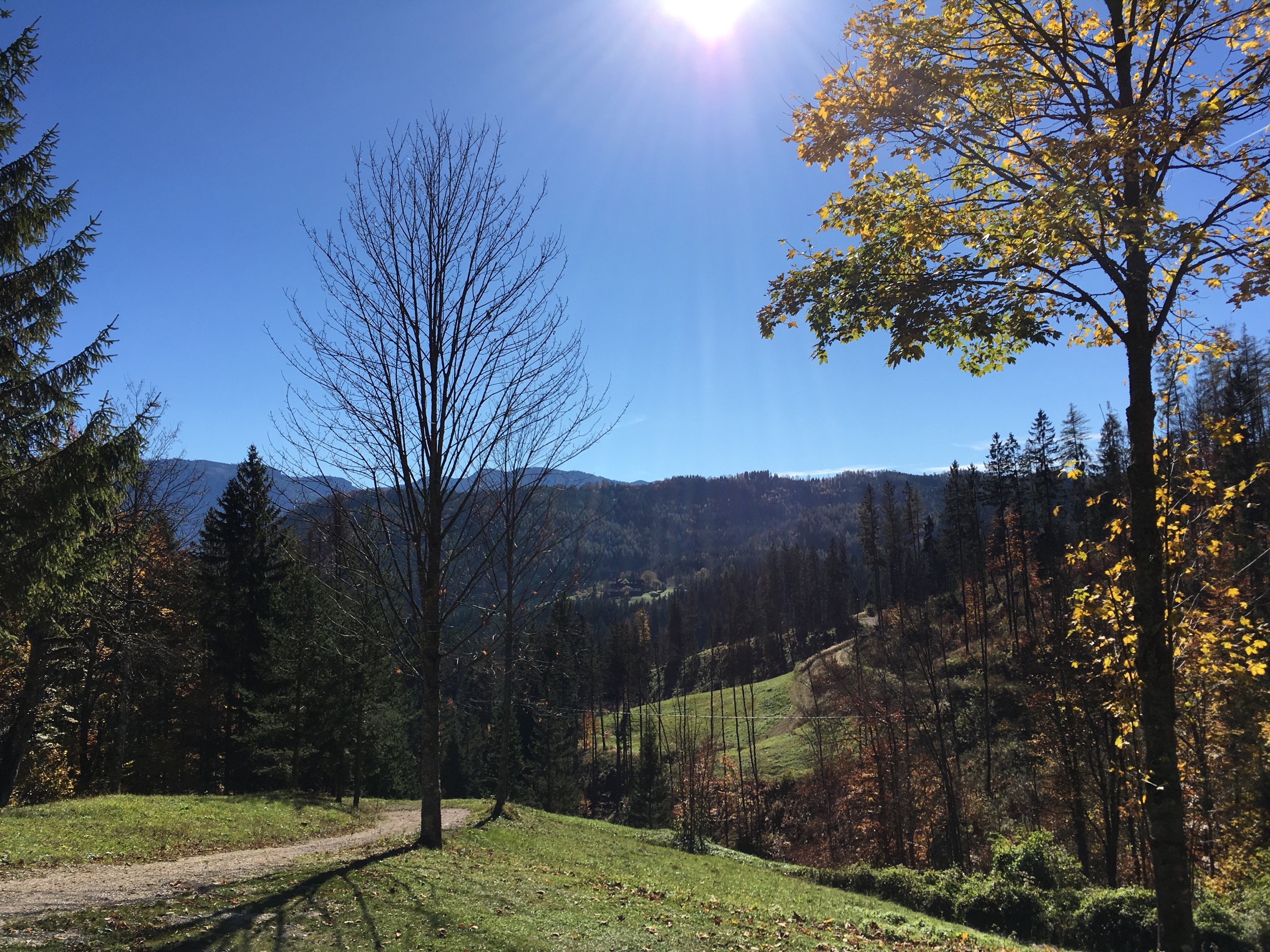 Holzknechthuette Herbstblick