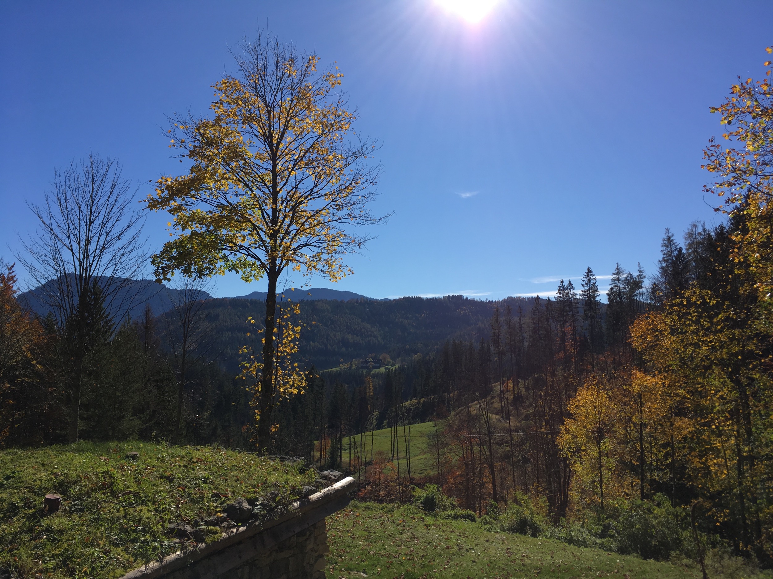 Holzknechthuette Herbstlandschaft
