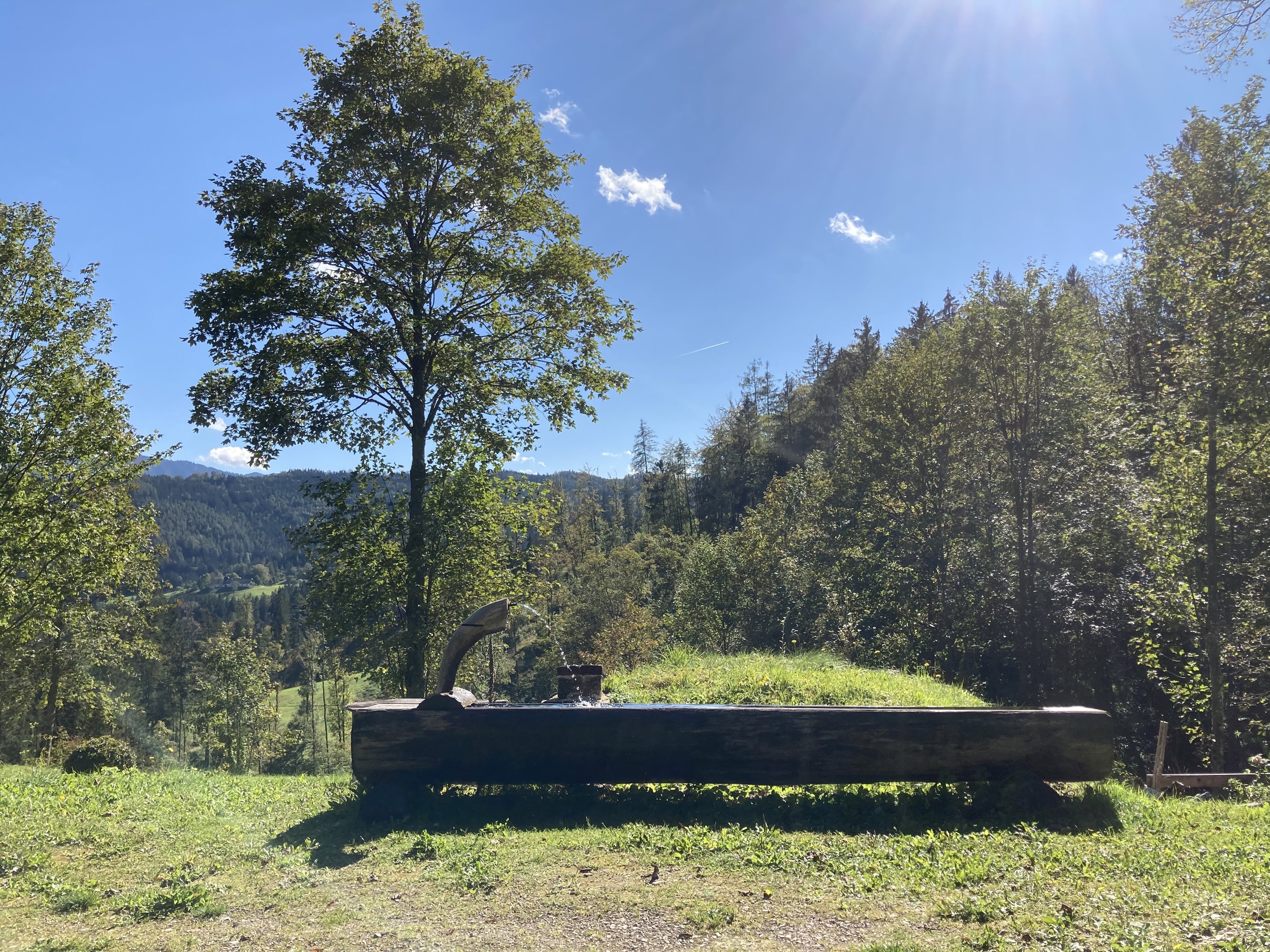 Holzknechthuette Naturblick