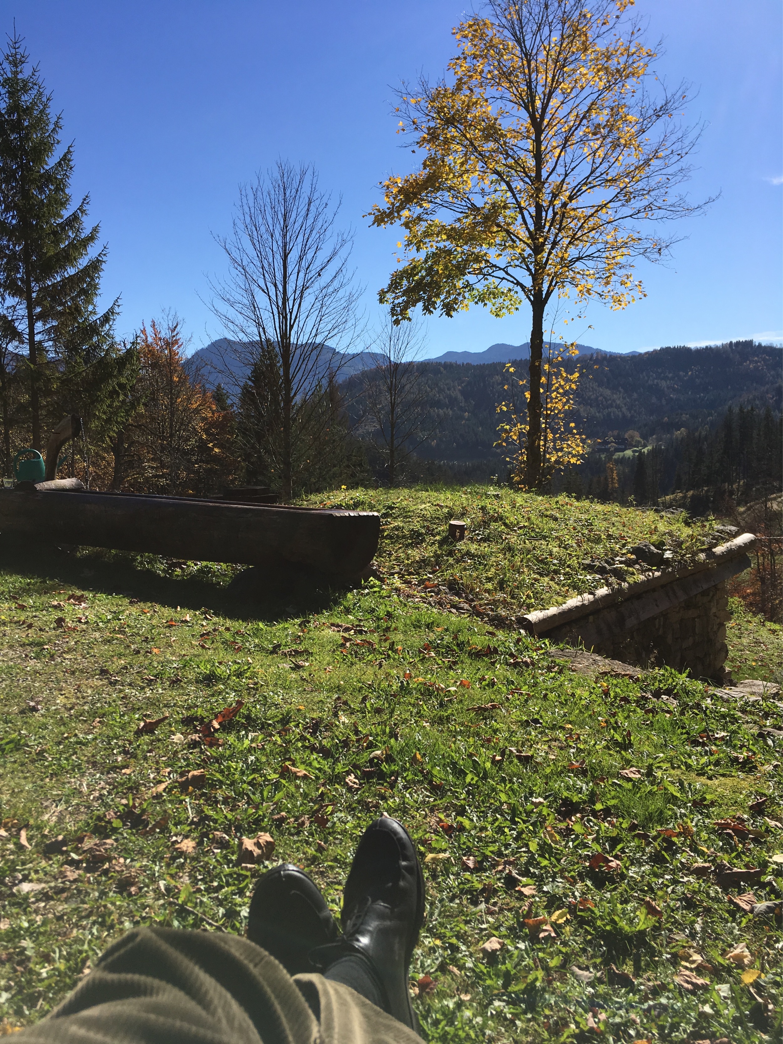 Holzknechthuette-Relaxblick