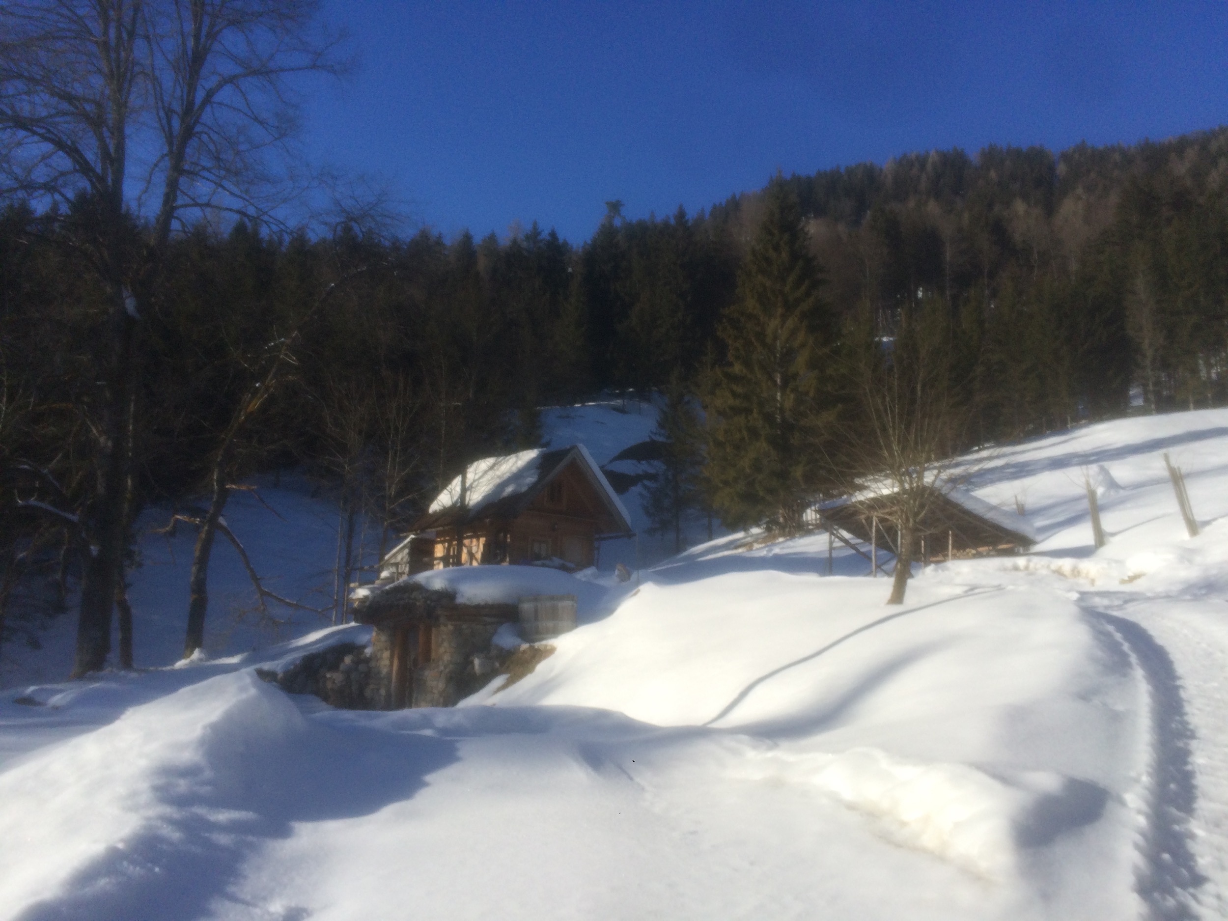Holzknechthuette Winter Landschaft
