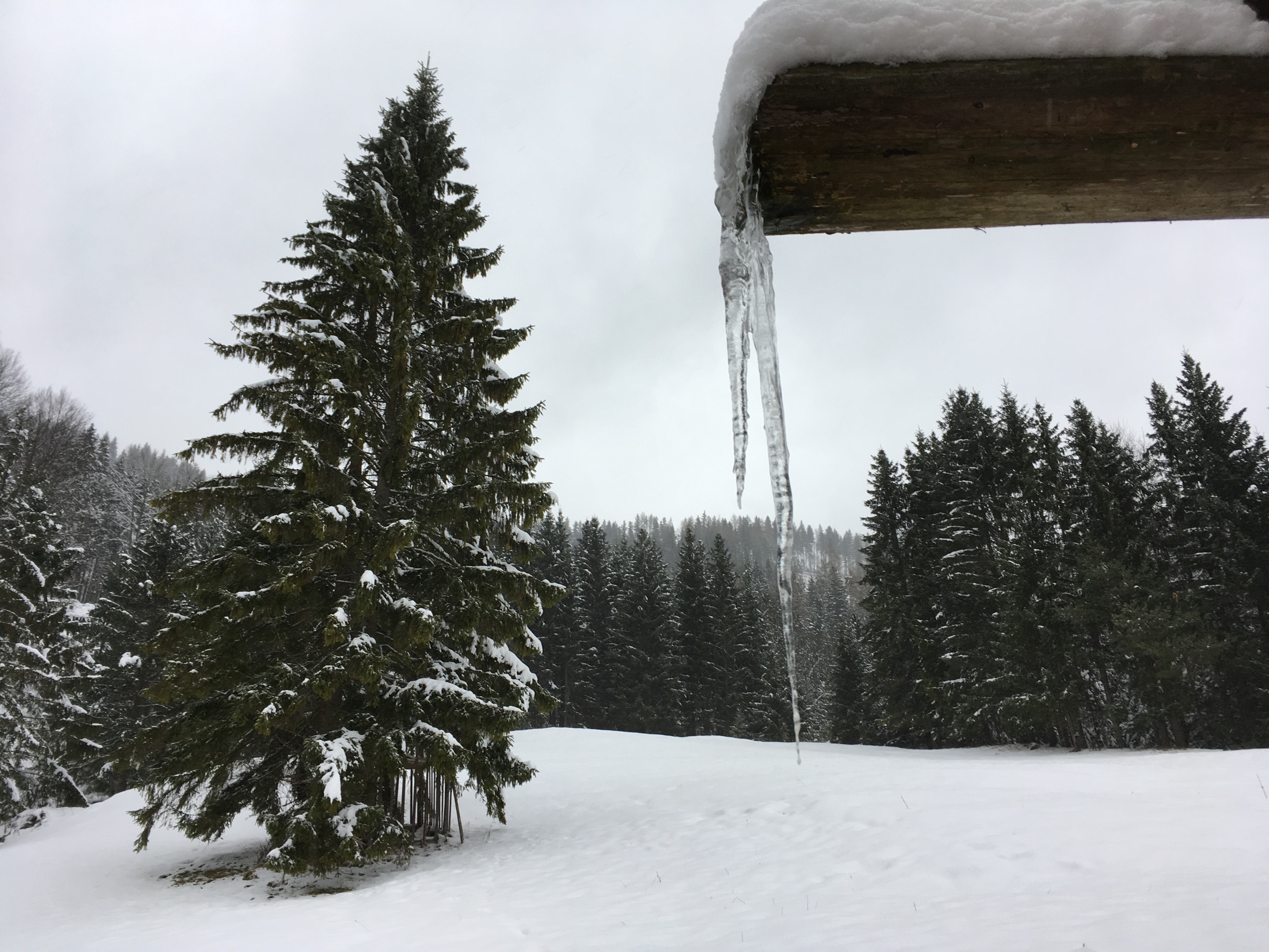 Holzknechthuette Winterstimmung