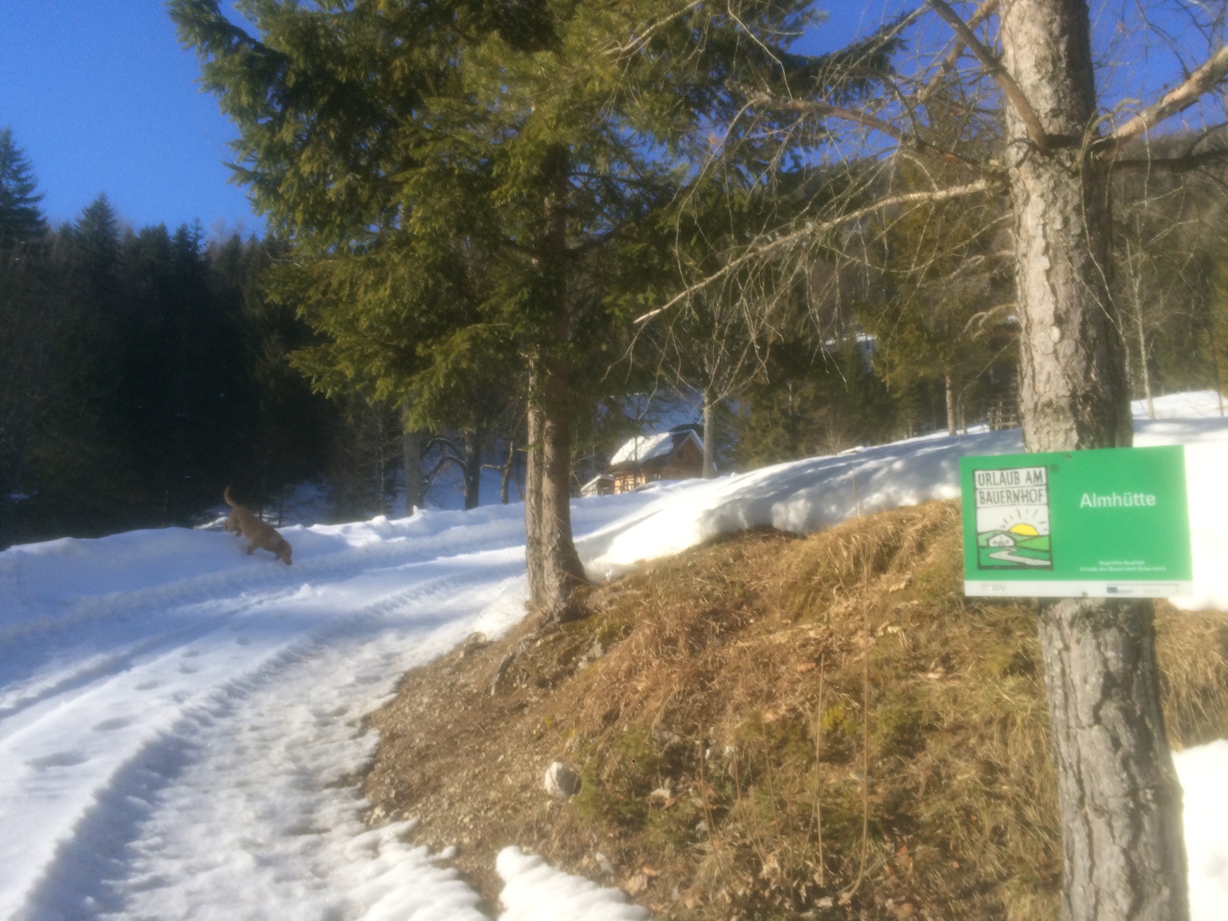 Holzknechthuette Zufahrt UAB