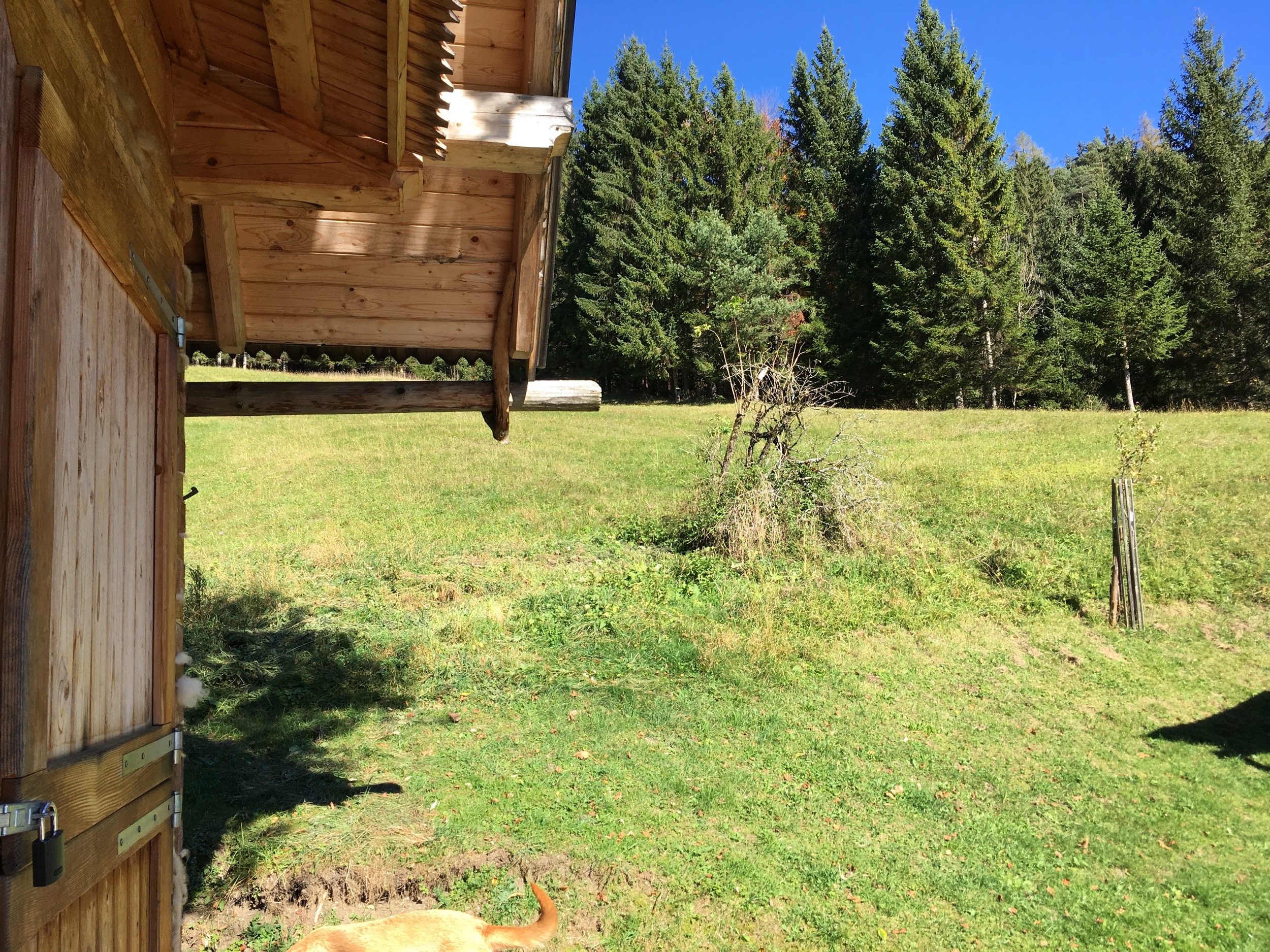 Holzknechthuette blick nach links