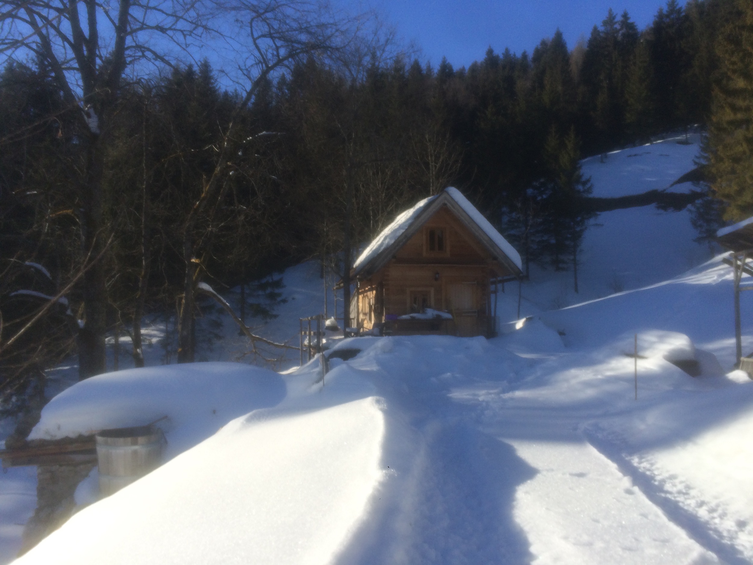 Holzknechthuette im Schnee