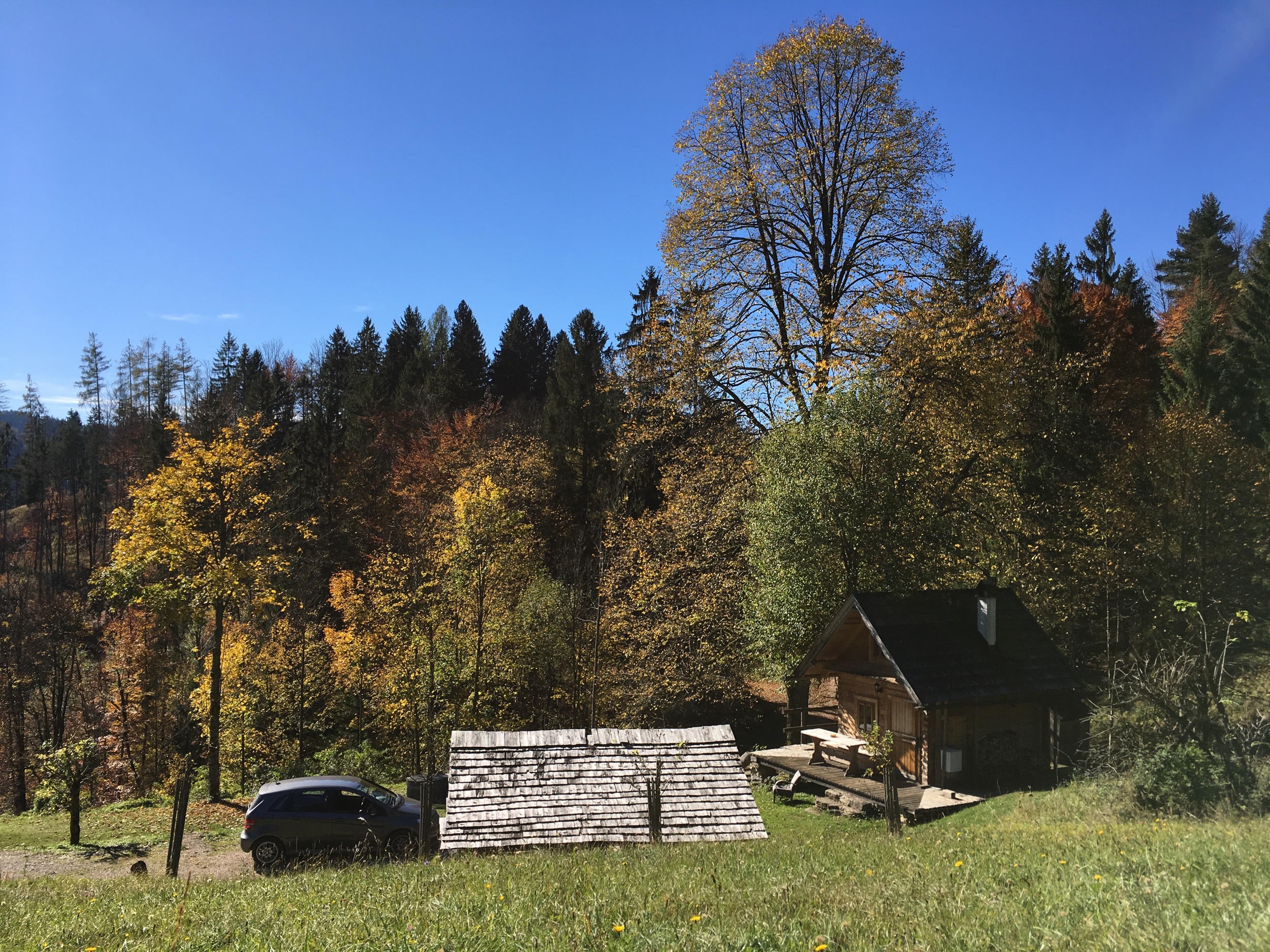 Holzknechthuette von oben im Herbst