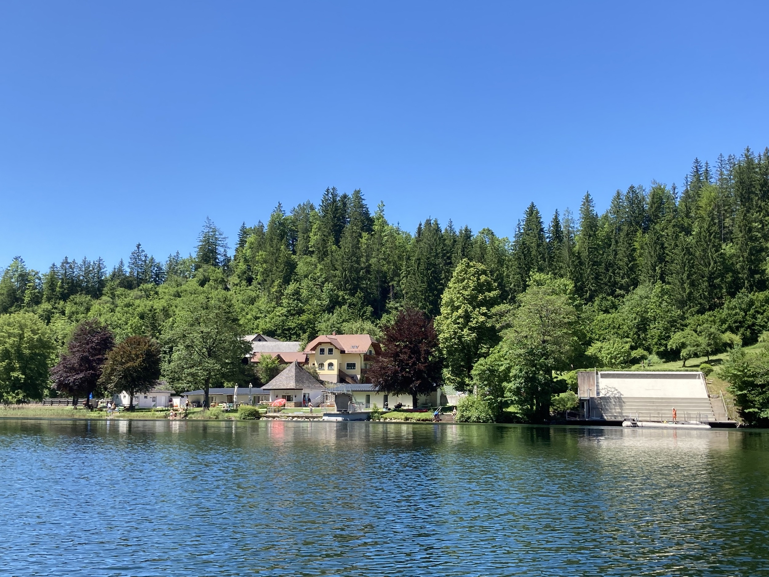 schwimmen am lunzer see 10