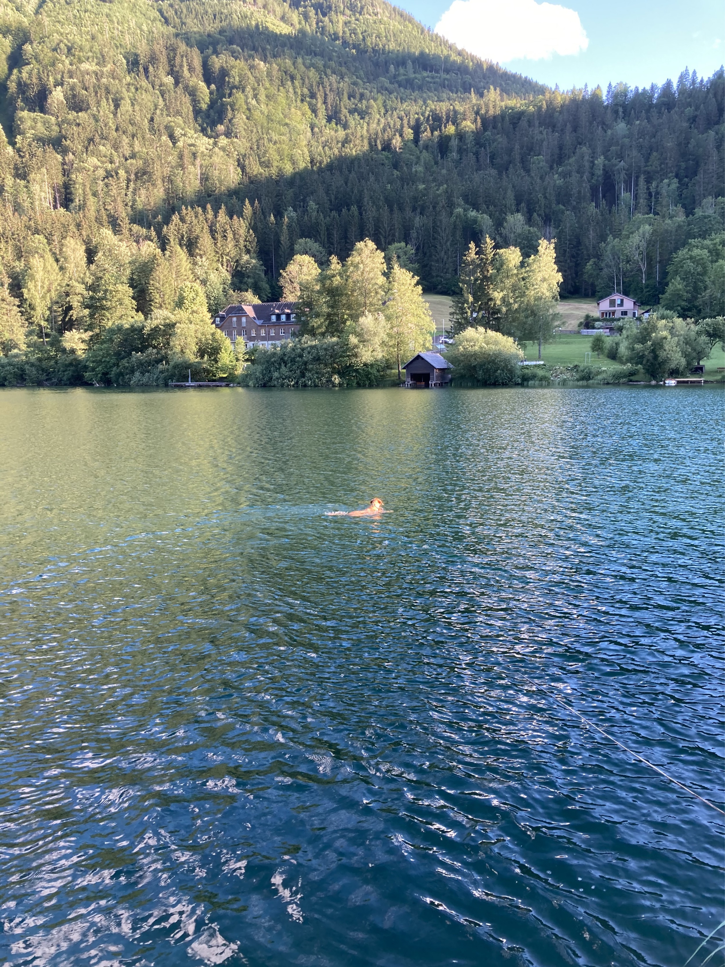 schwimmen-am-lunzer-see-11