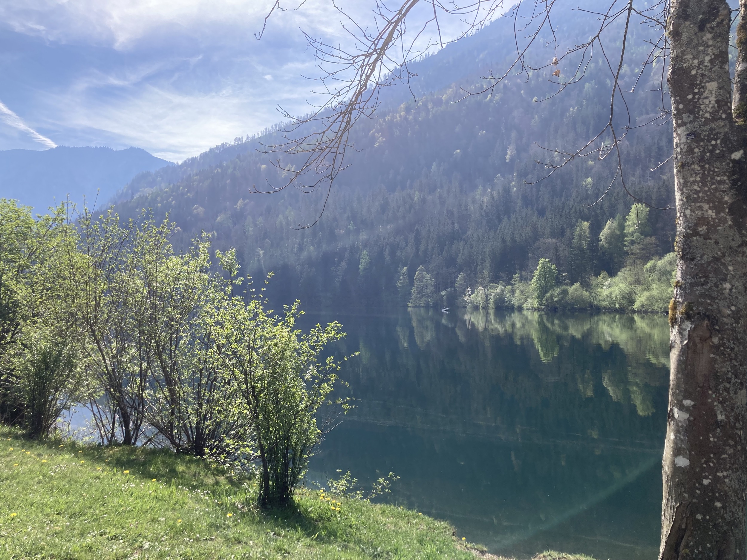 schwimmen am lunzer see 3