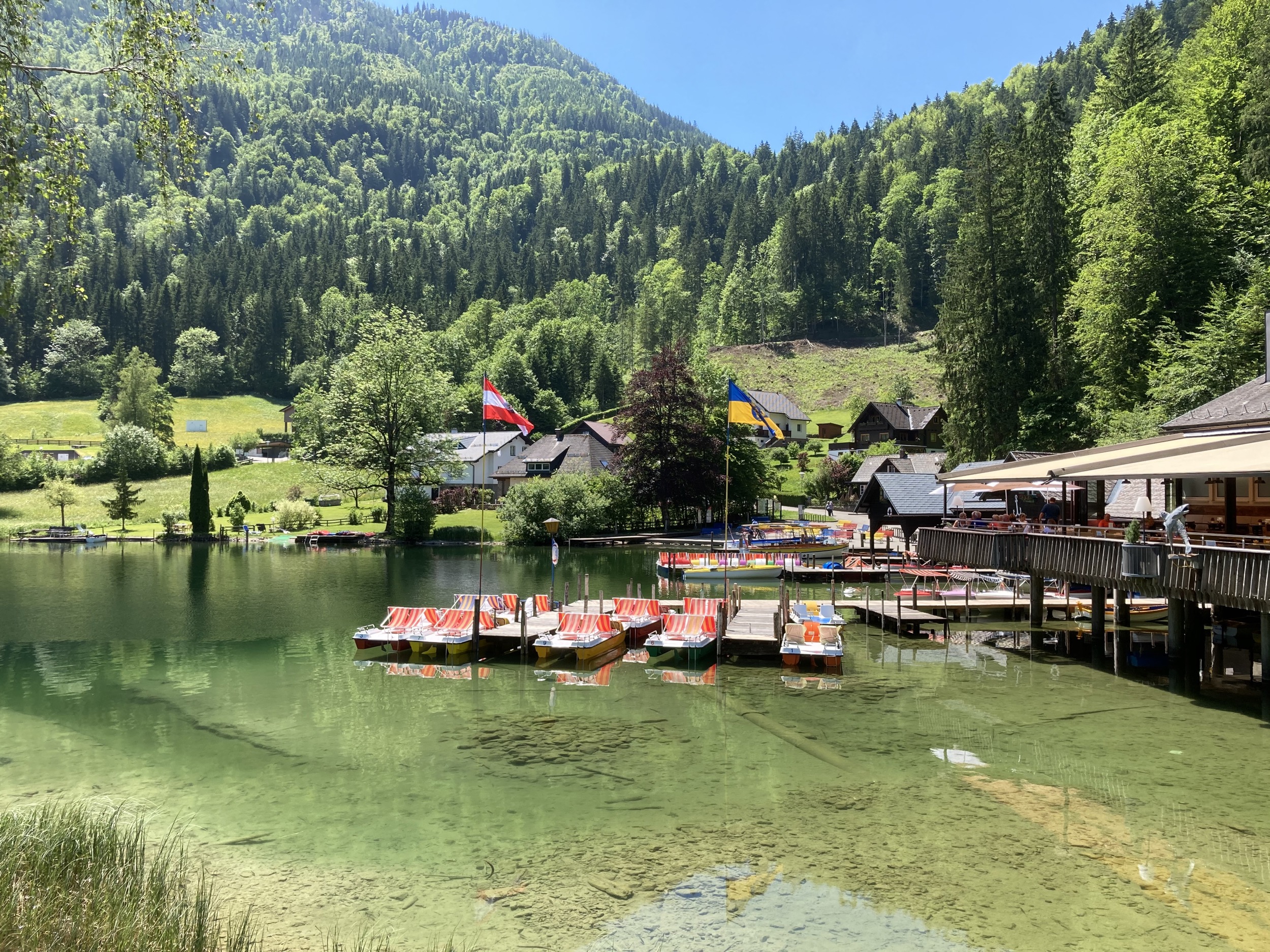 schwimmen am lunzer see 5