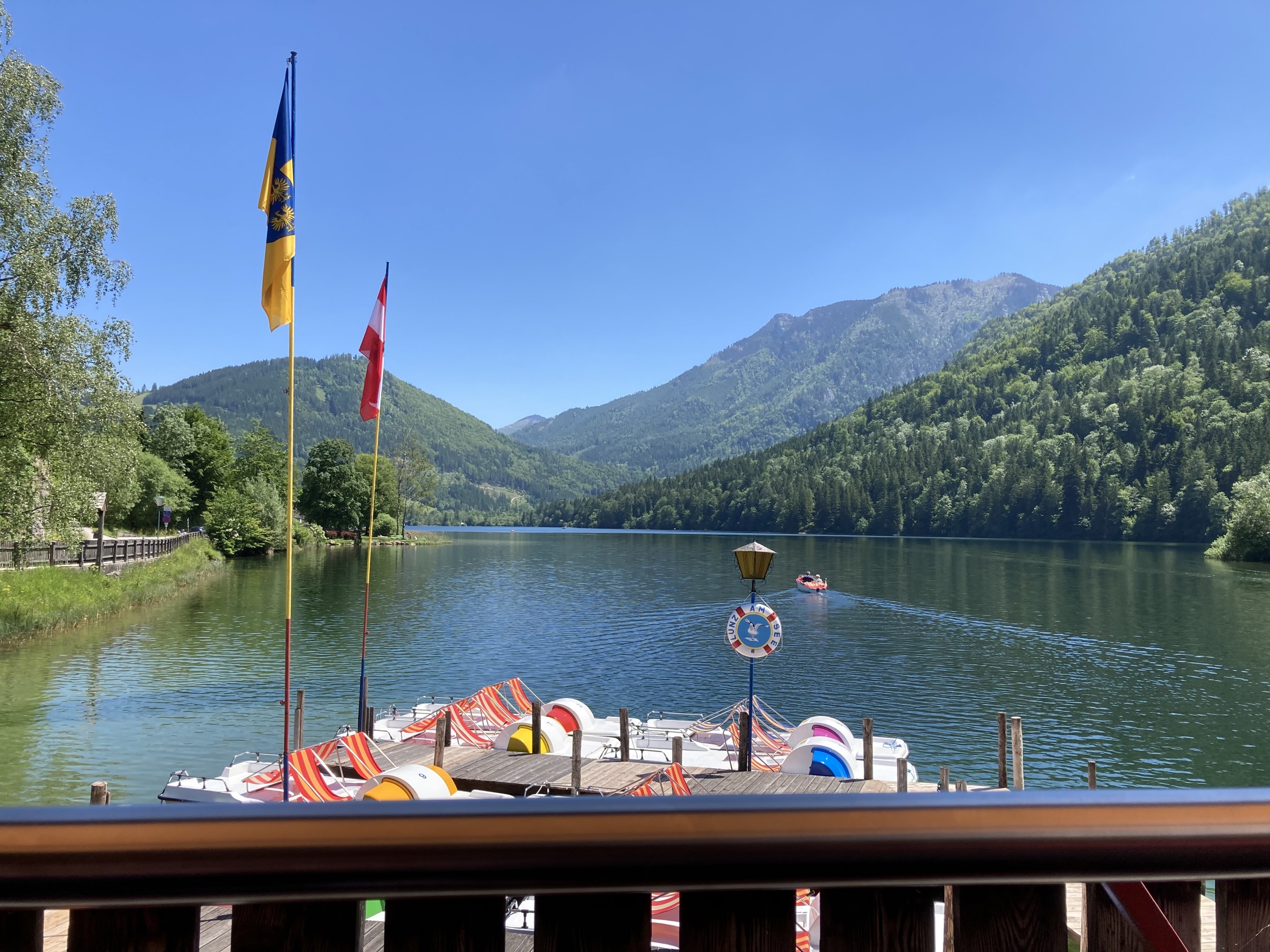 schwimmen am lunzer see 6