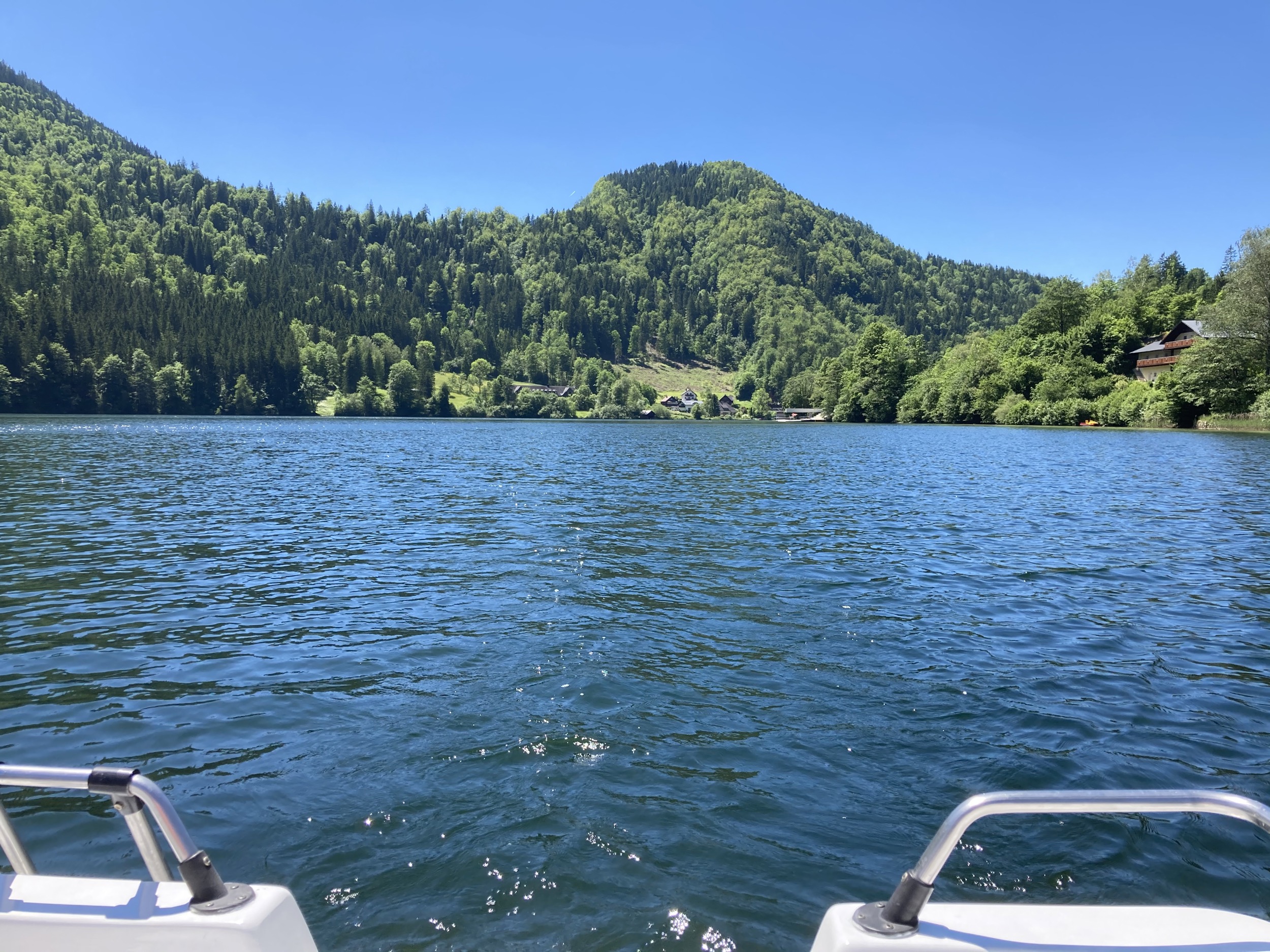 schwimmen am lunzer see 7
