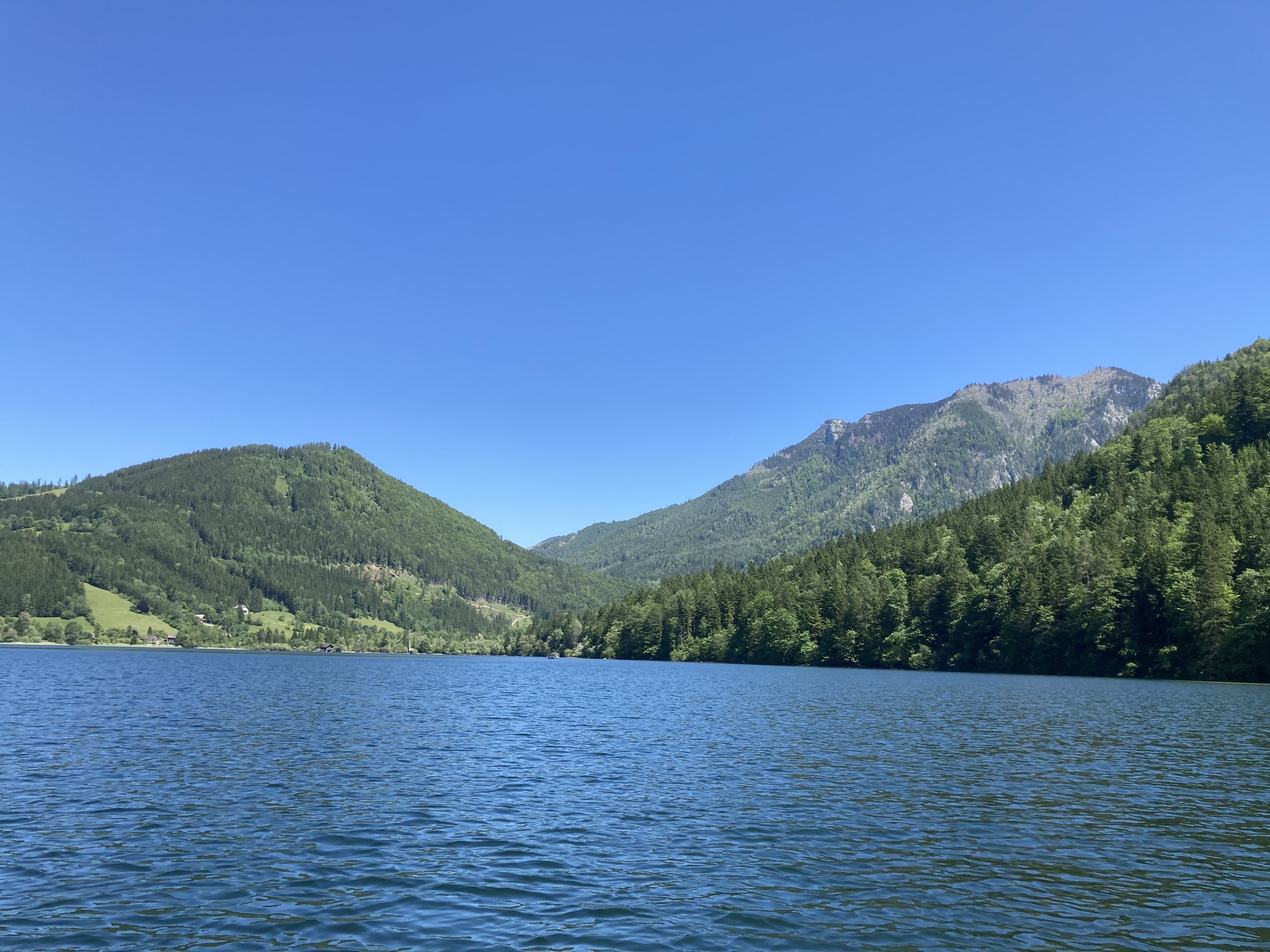 schwimmen am lunzer see 9